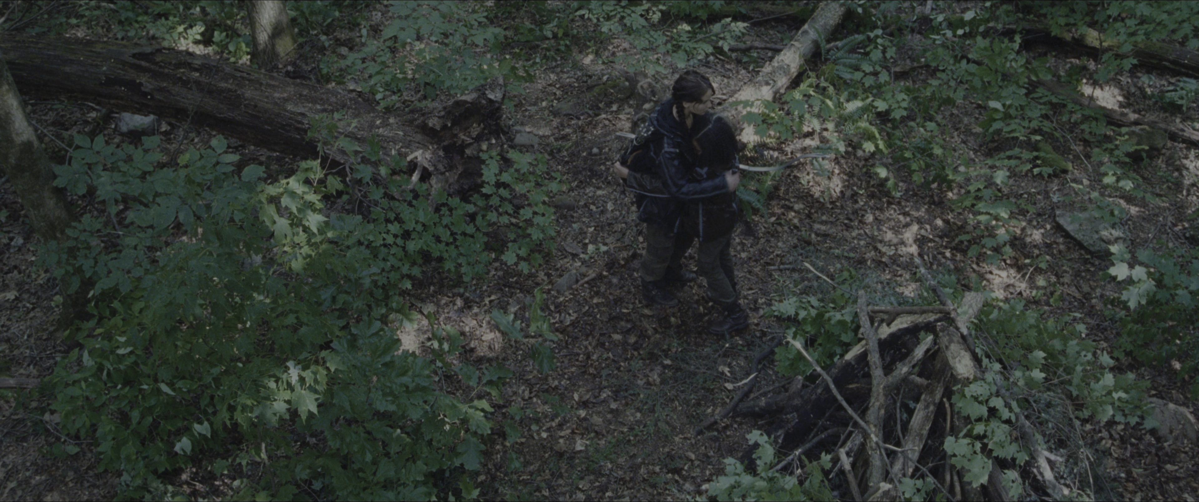 The Hunger Games (2012), wide, 2.39:1 — film still