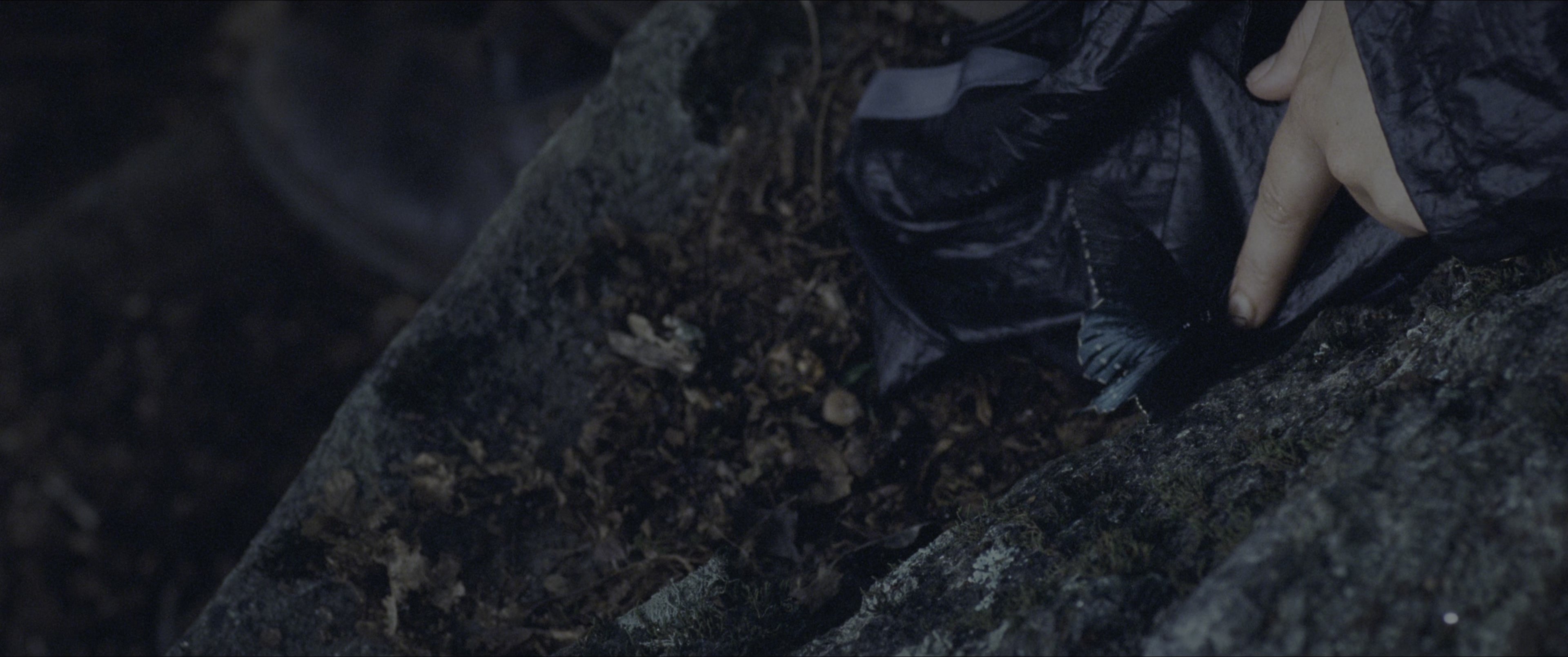 The Hunger Games (2012), wide, 2.39:1 — film still