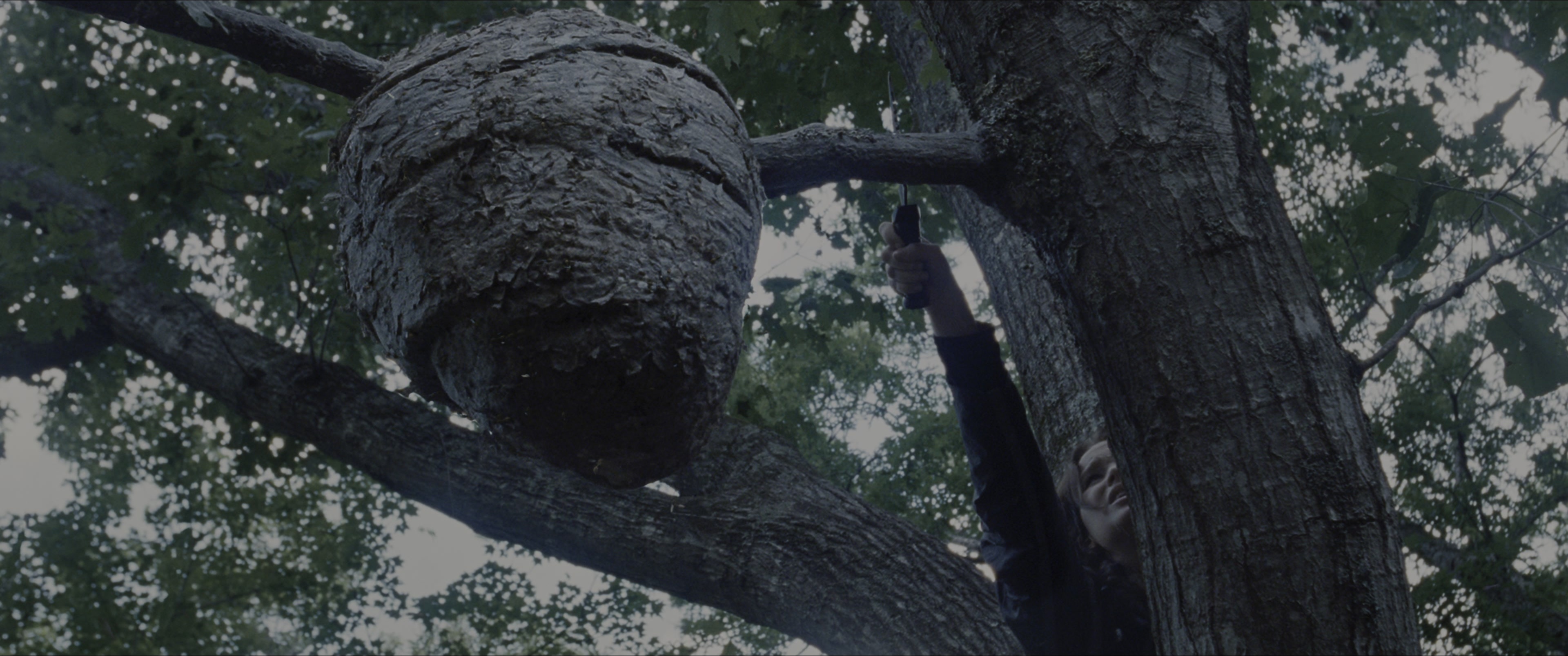 The Hunger Games (2012), wide, 2.39:1 — film still