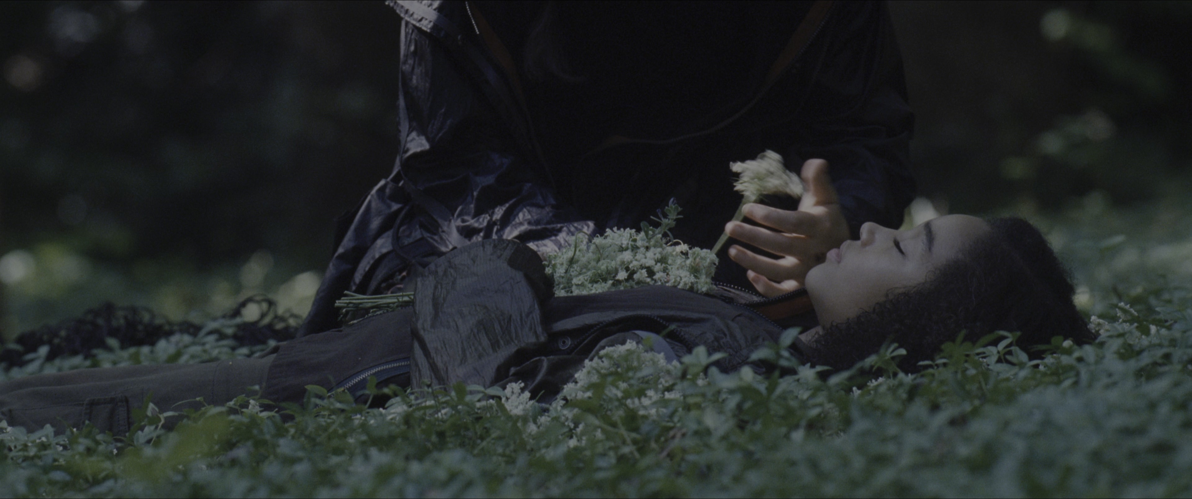 The Hunger Games (2012), wide, 2.39:1 — film still
