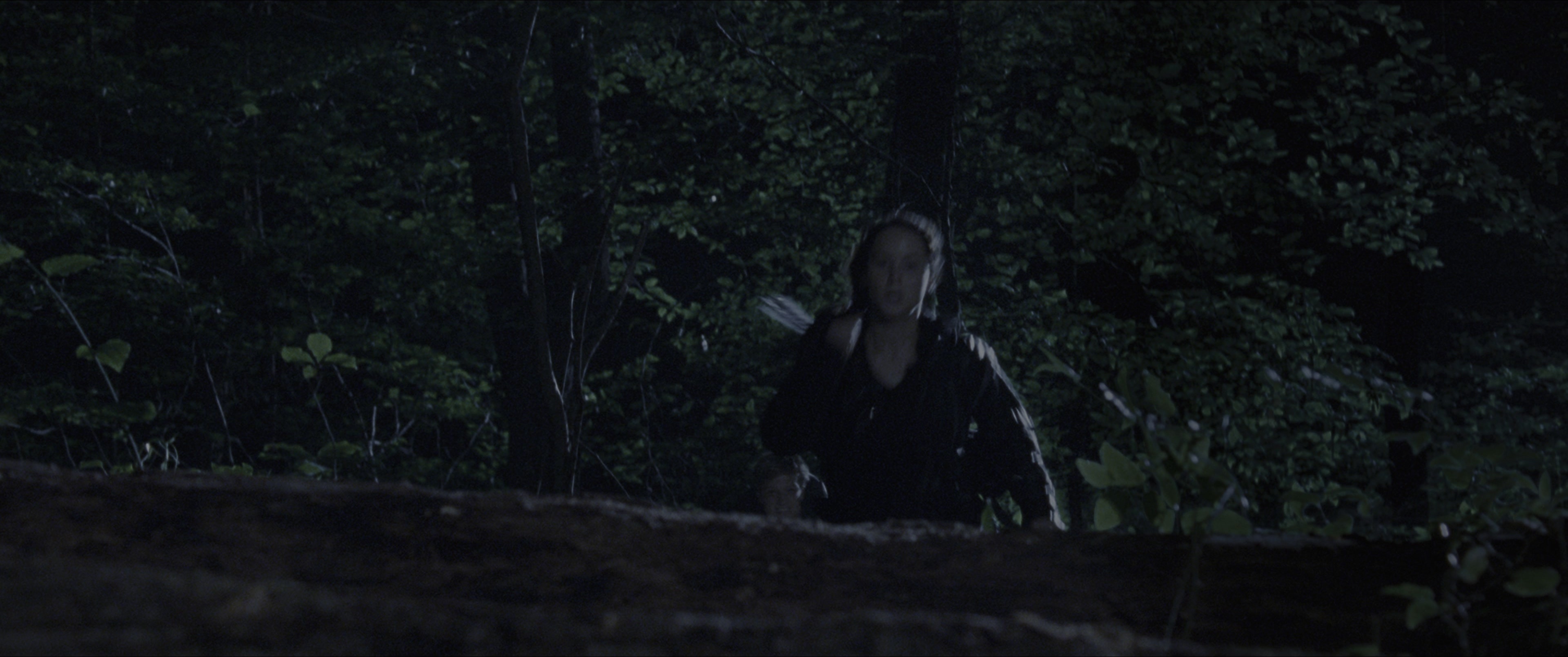 The Hunger Games (2012), wide, 2.39:1 — film still