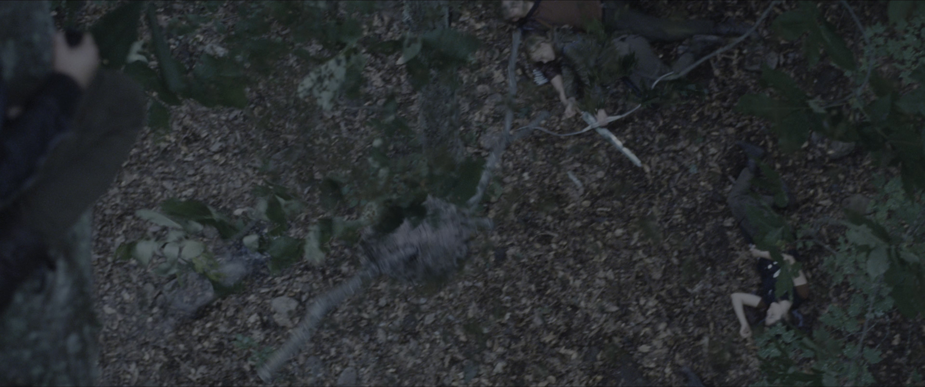 The Hunger Games (2012), wide, 2.39:1 — film still