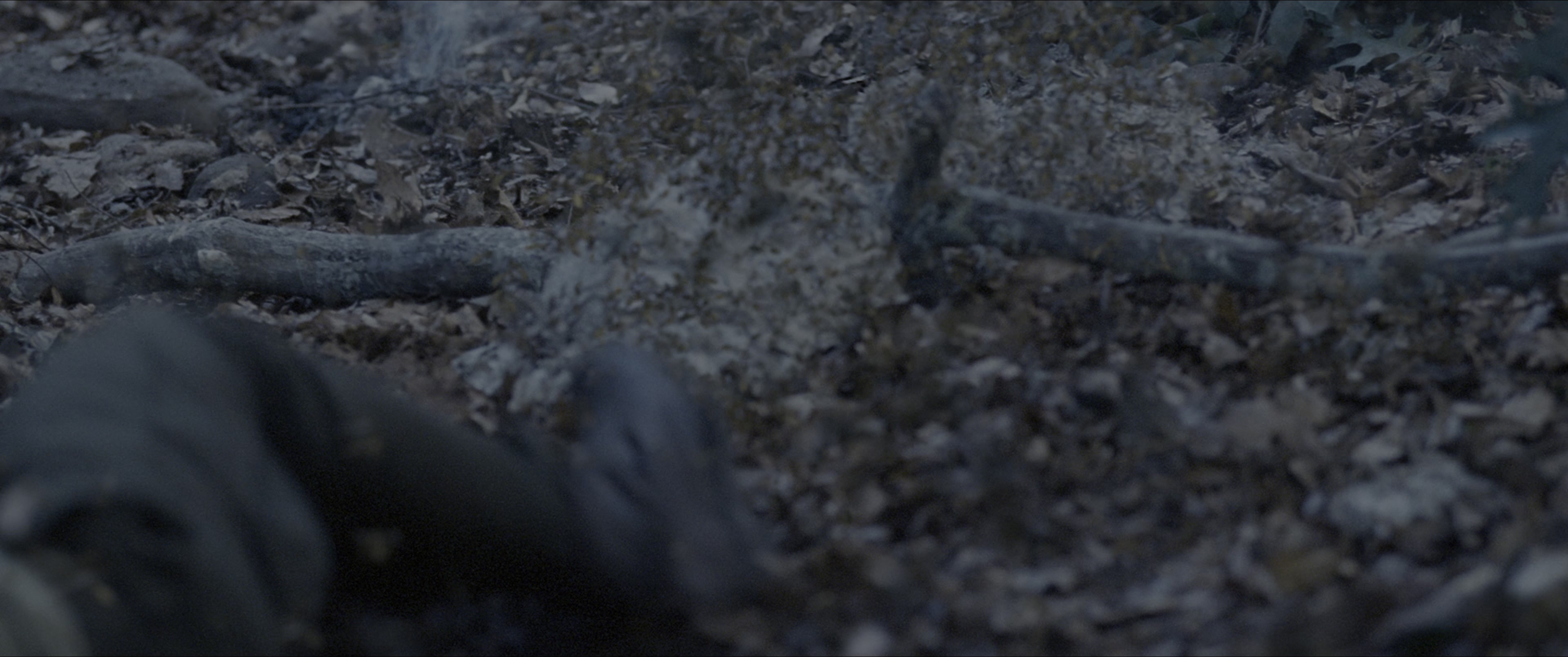 The Hunger Games (2012), wide, 2.39:1 — film still