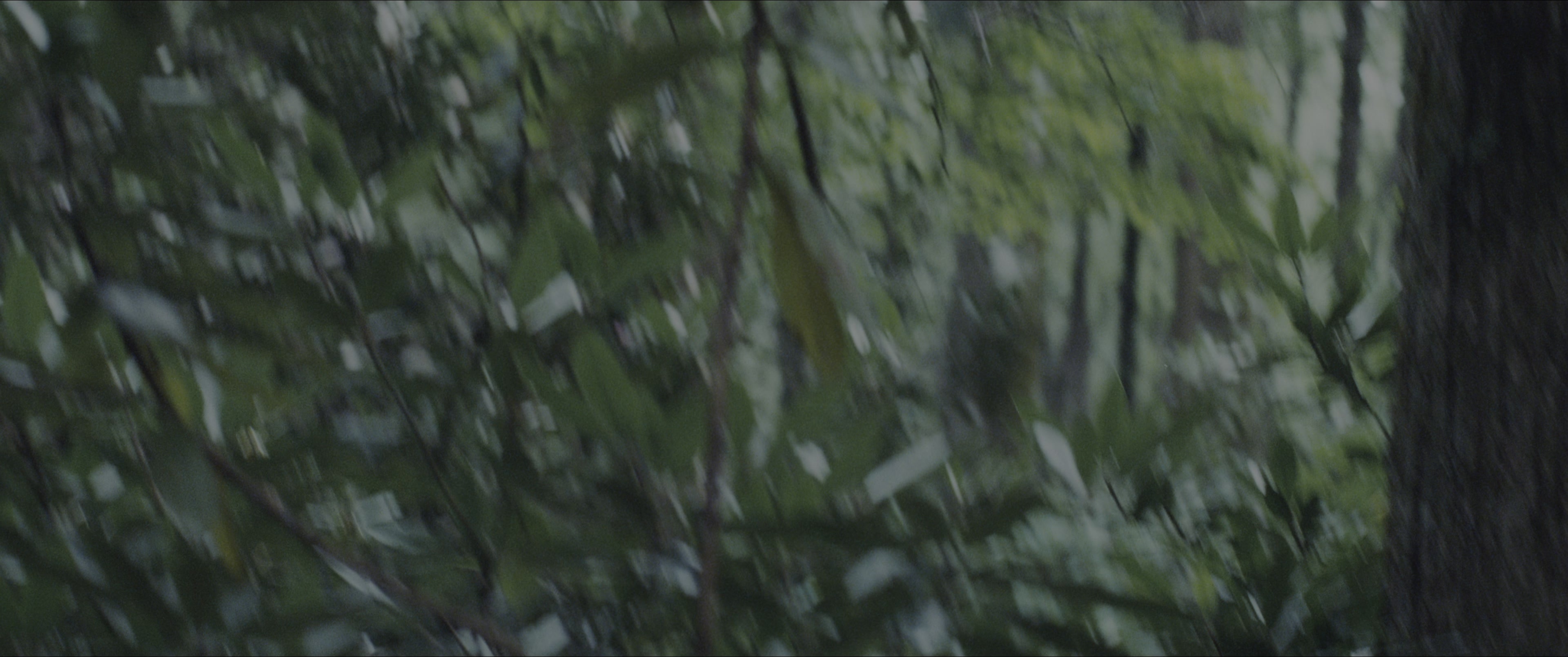 The Hunger Games (2012), wide, 2.39:1 — film still