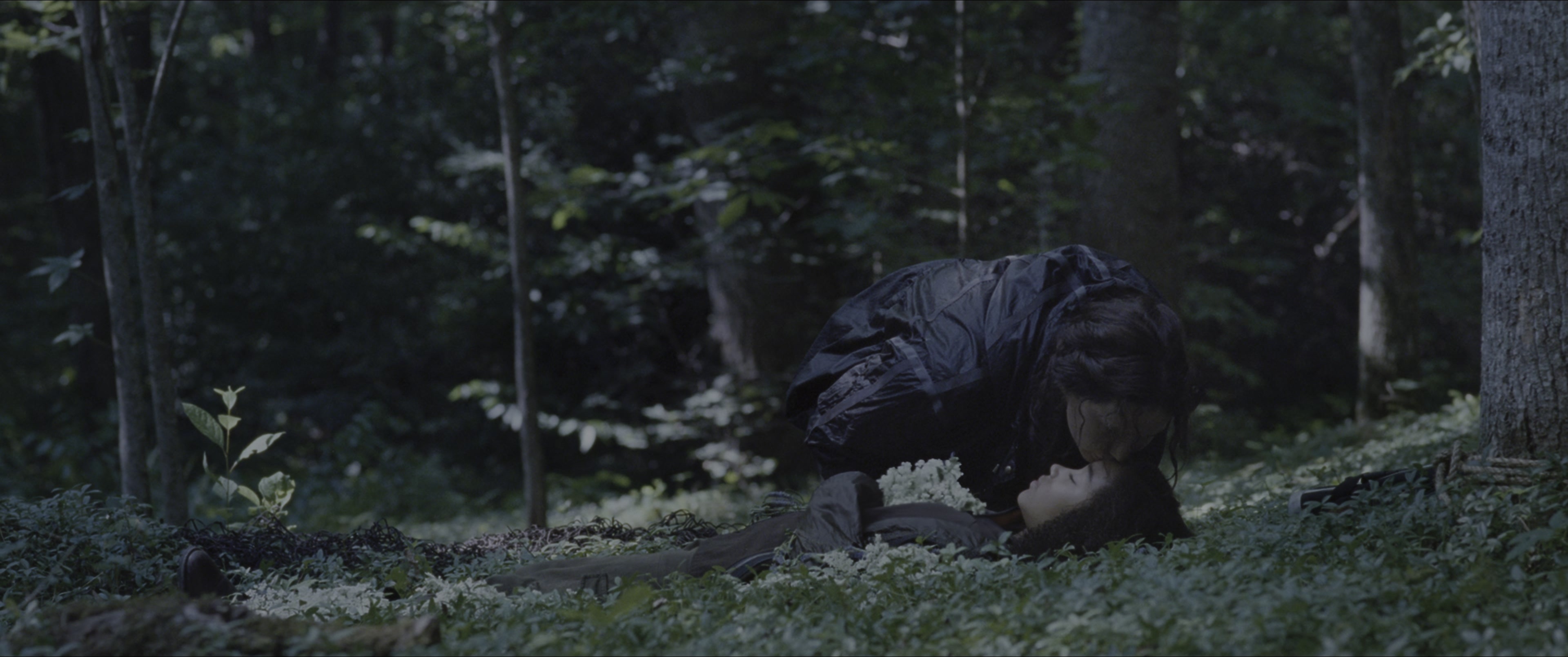 The Hunger Games (2012), wide, 2.39:1 — film still