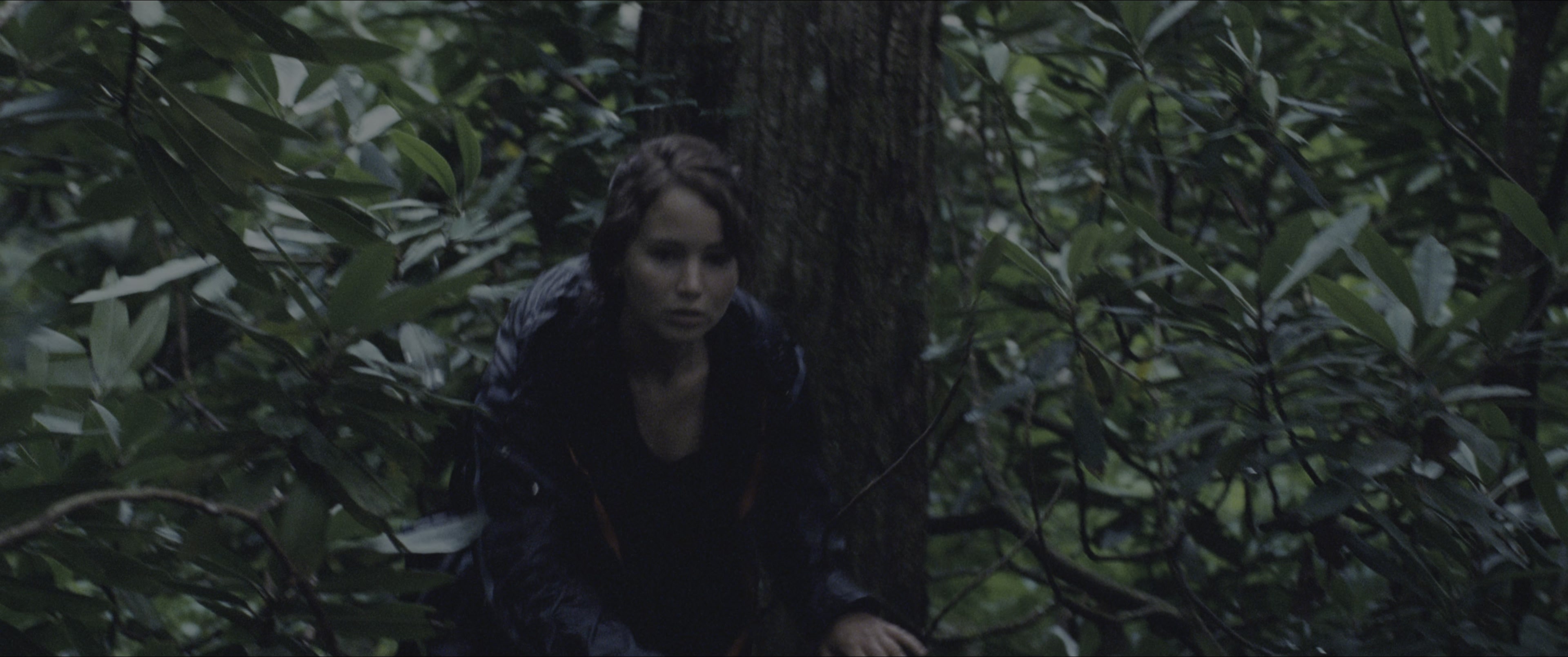 The Hunger Games (2012), wide, 2.39:1 — film still
