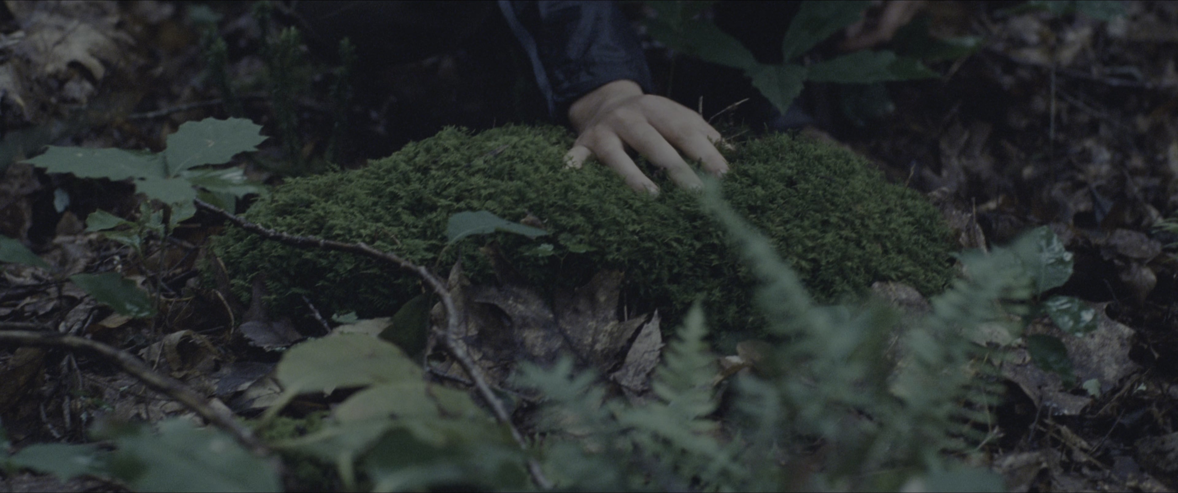 The Hunger Games (2012), wide, 2.39:1 — film still