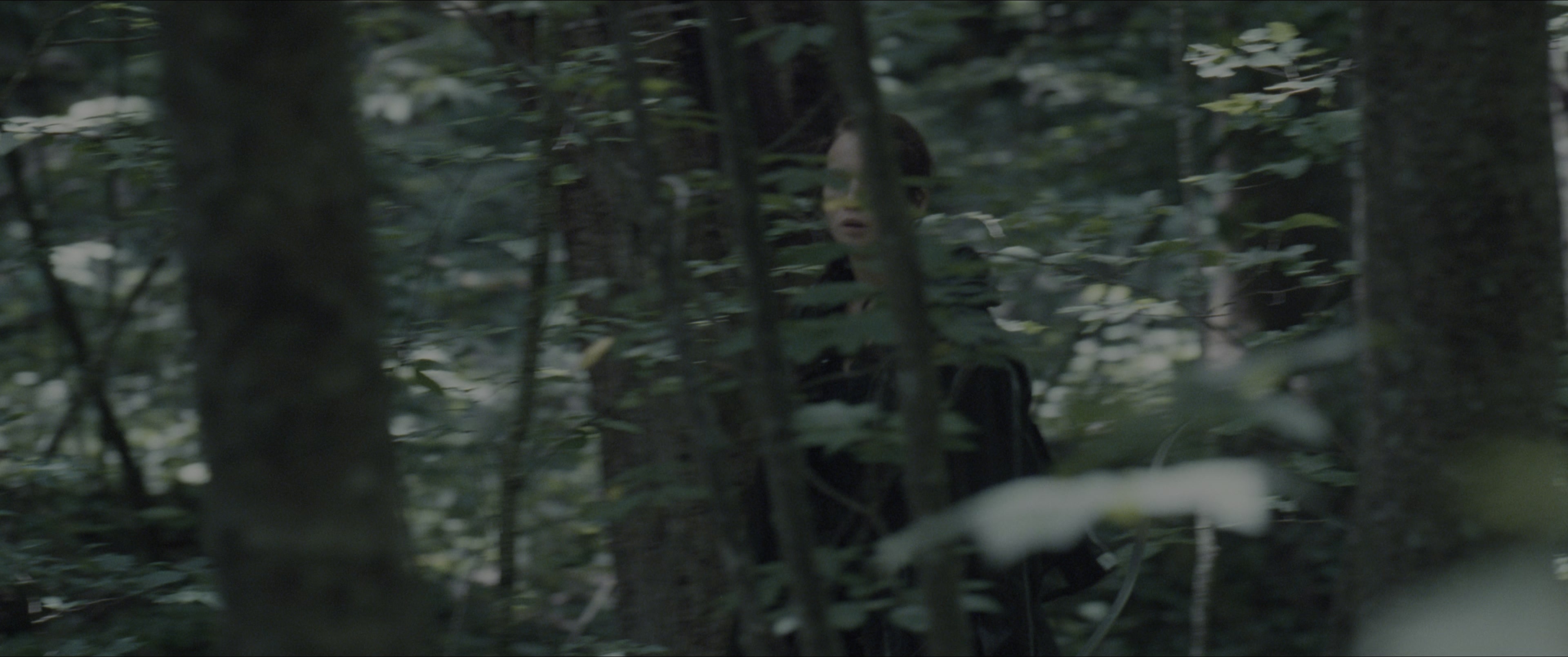 The Hunger Games (2012), wide, 2.39:1 — film still