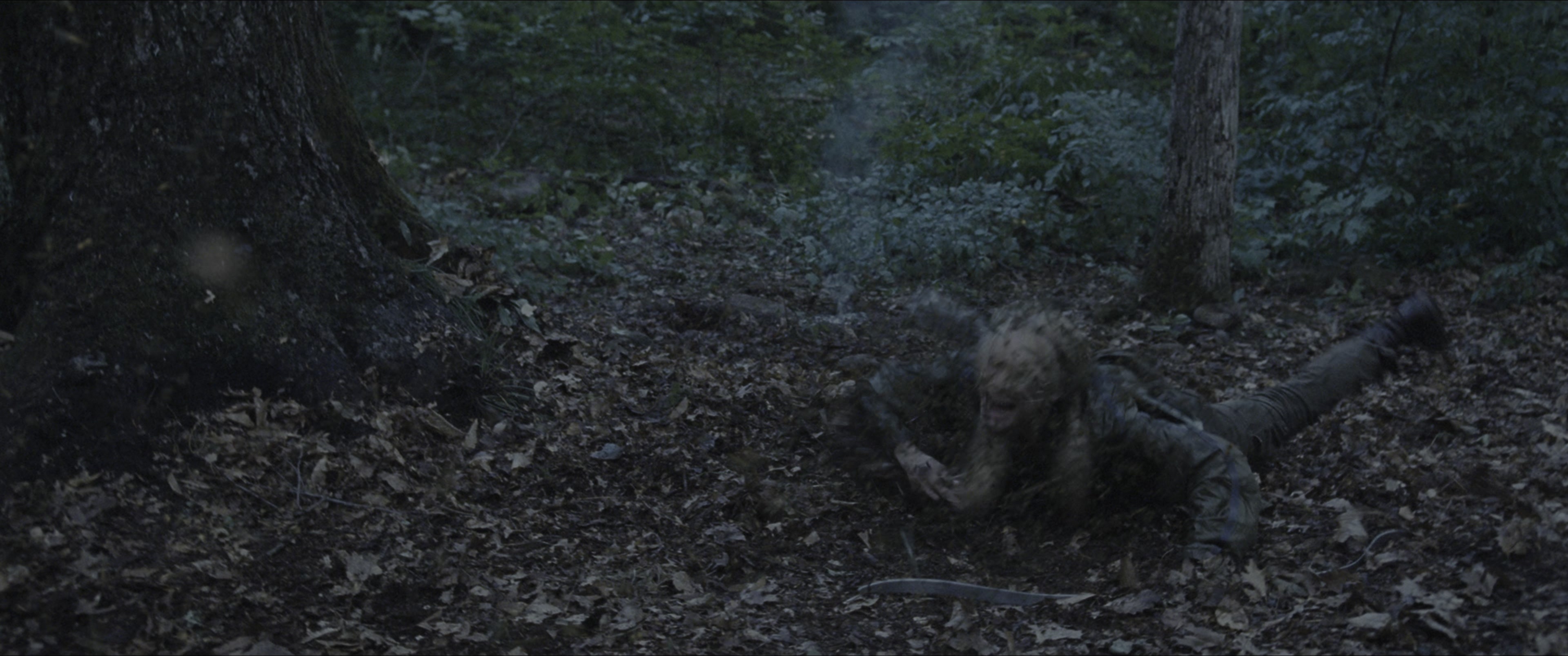 The Hunger Games (2012), wide, 2.39:1 — film still