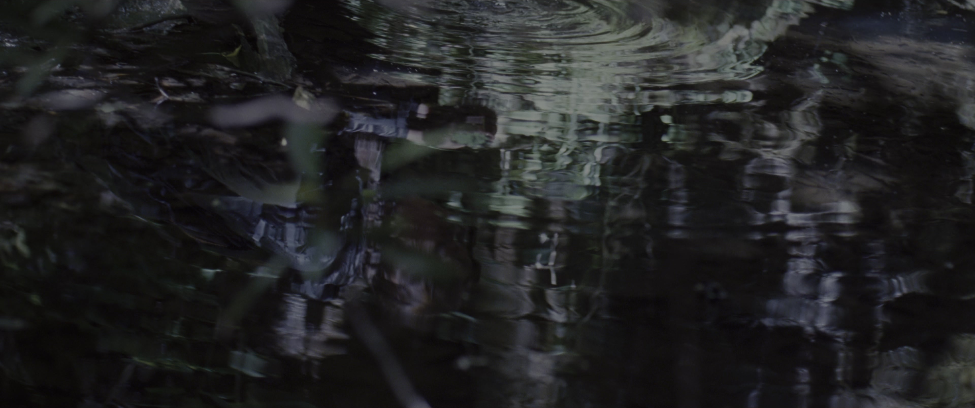 The Hunger Games (2012), wide, 2.39:1 — film still