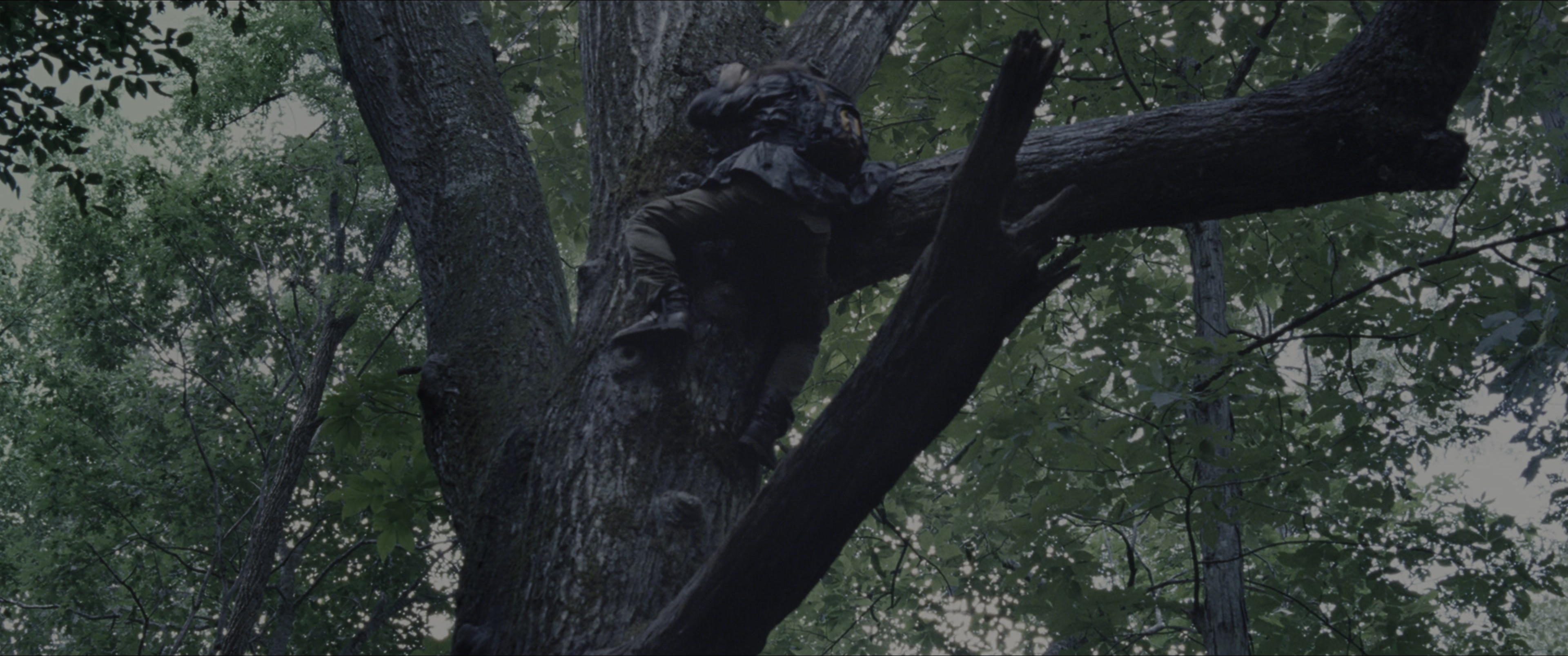 The Hunger Games (2012), wide, 2.39:1 — film still
