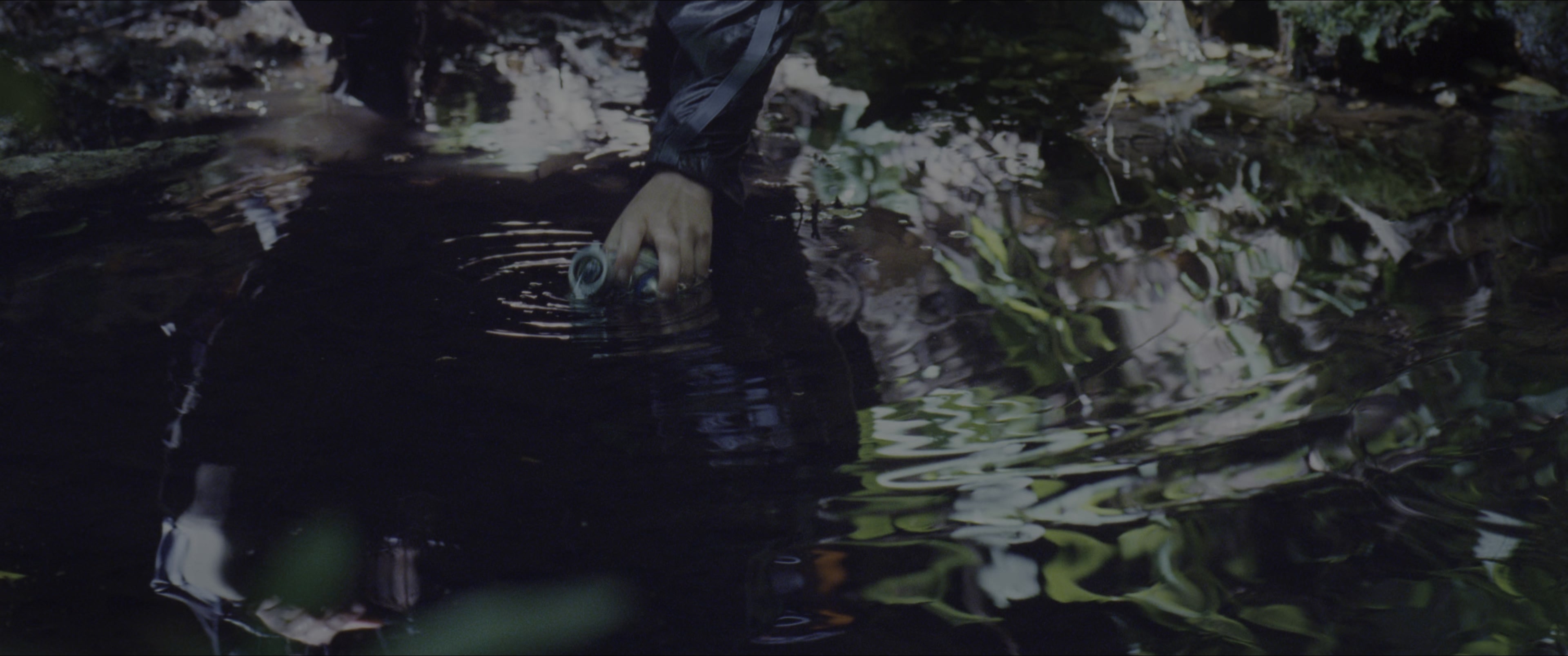 The Hunger Games (2012), wide, 2.39:1 — film still