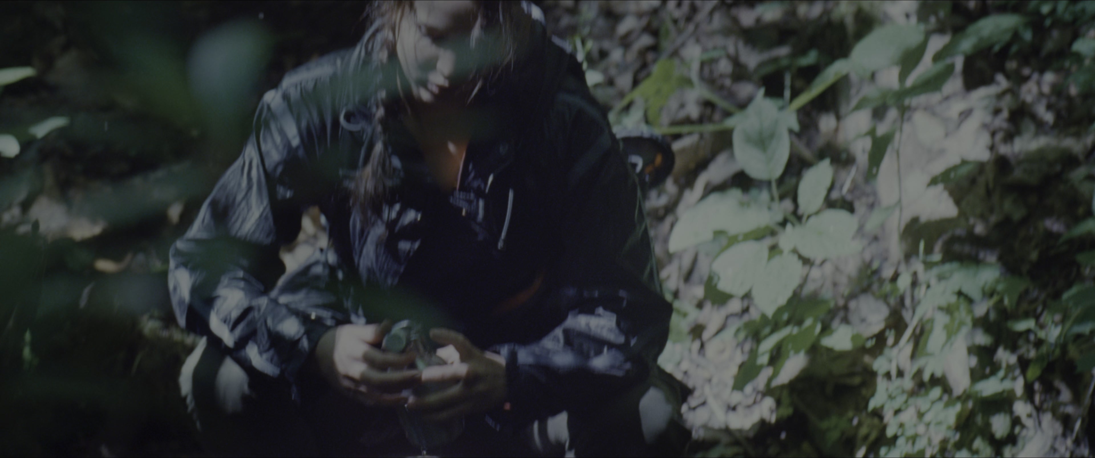 The Hunger Games (2012), wide, 2.39:1 — film still