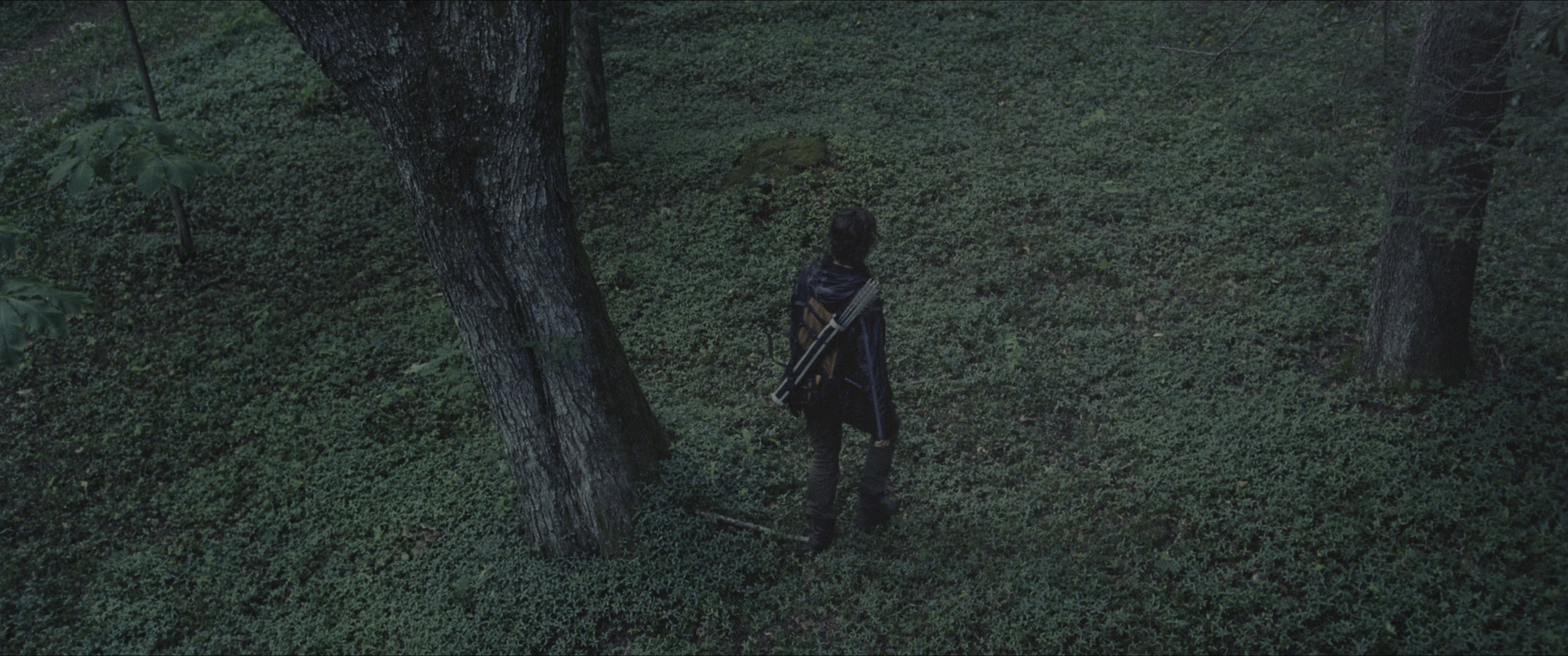 The Hunger Games (2012), wide, 2.39:1 — film still