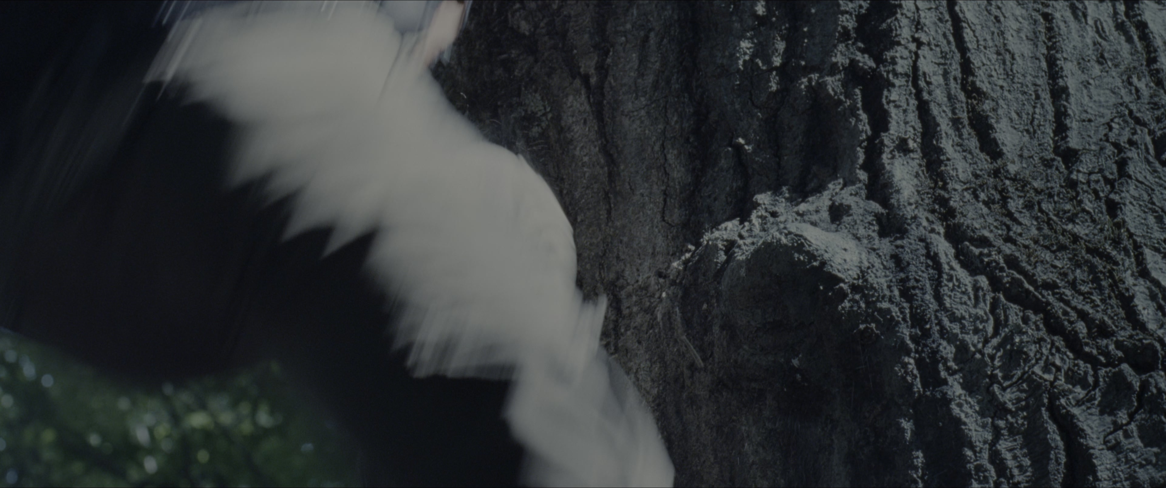 The Hunger Games (2012), wide, 2.39:1 — film still