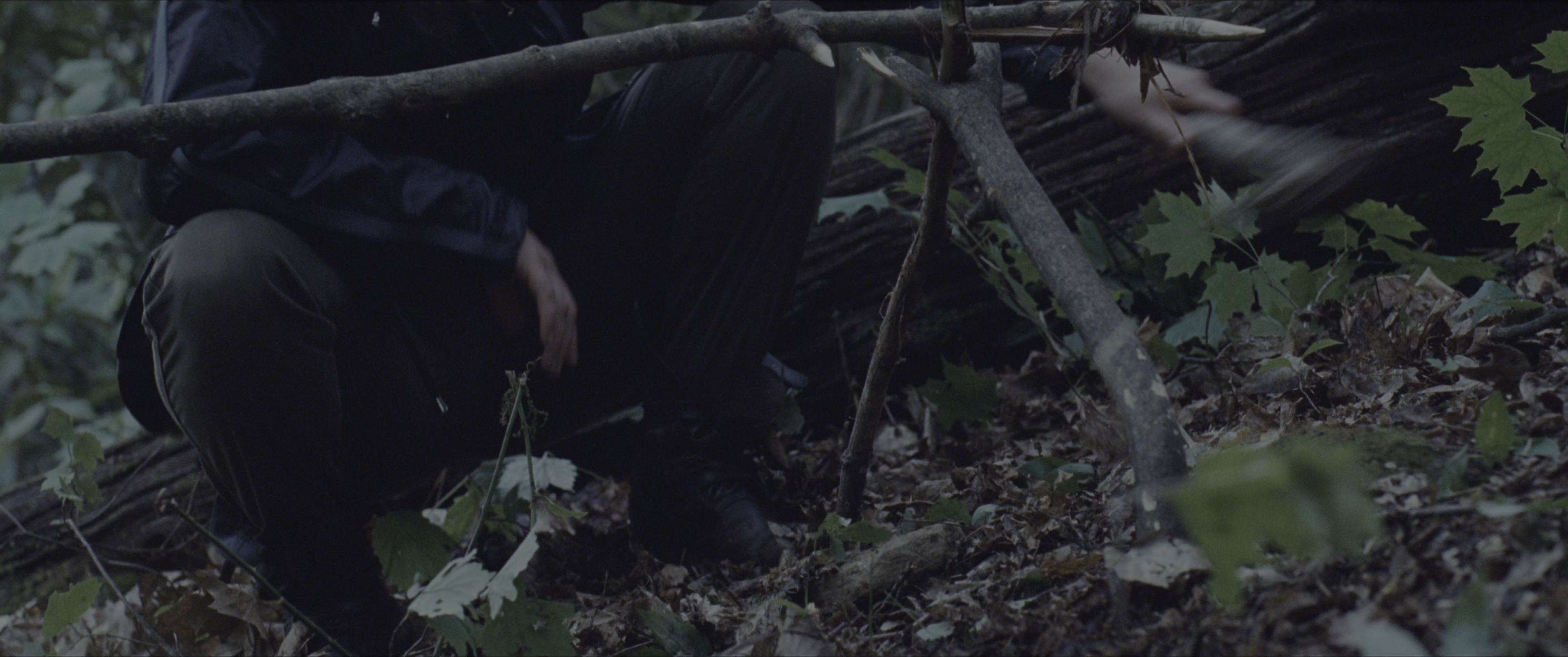 The Hunger Games (2012), wide, 2.39:1 — film still