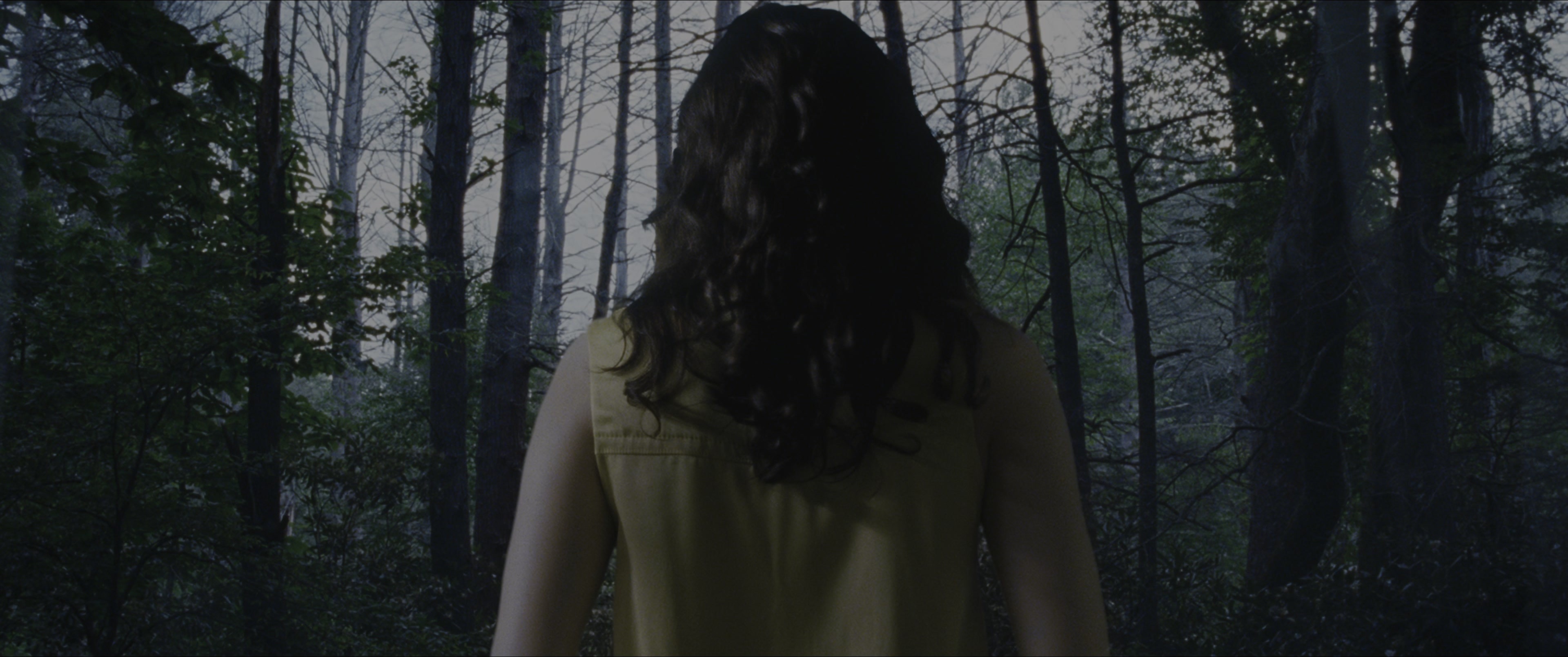 The Hunger Games (2012), wide, 2.39:1 — film still