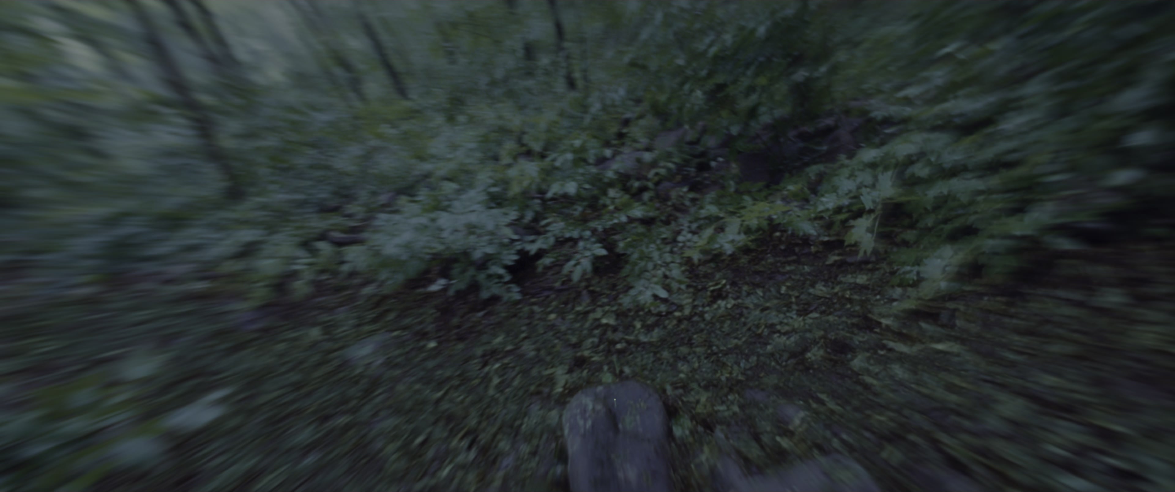 The Hunger Games (2012), wide, 2.39:1 — film still