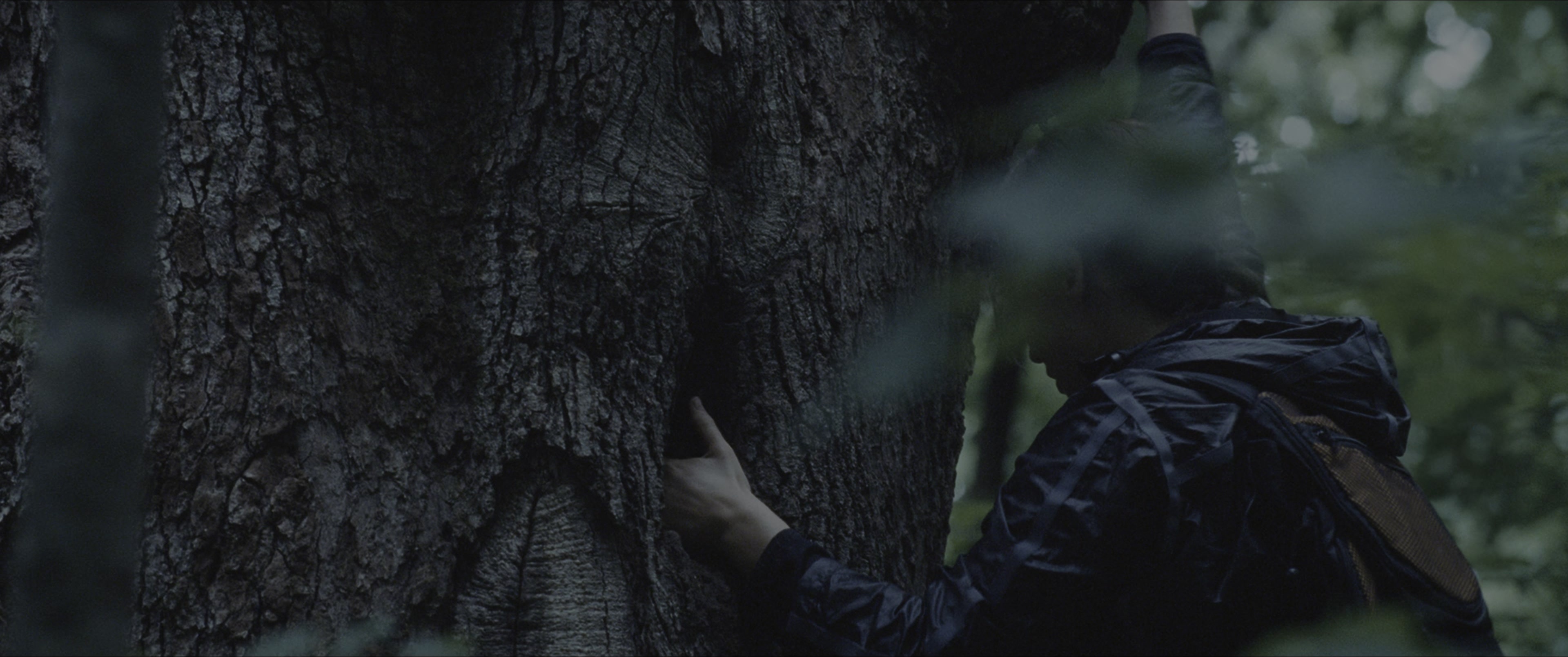 The Hunger Games (2012), wide, 2.39:1 — film still
