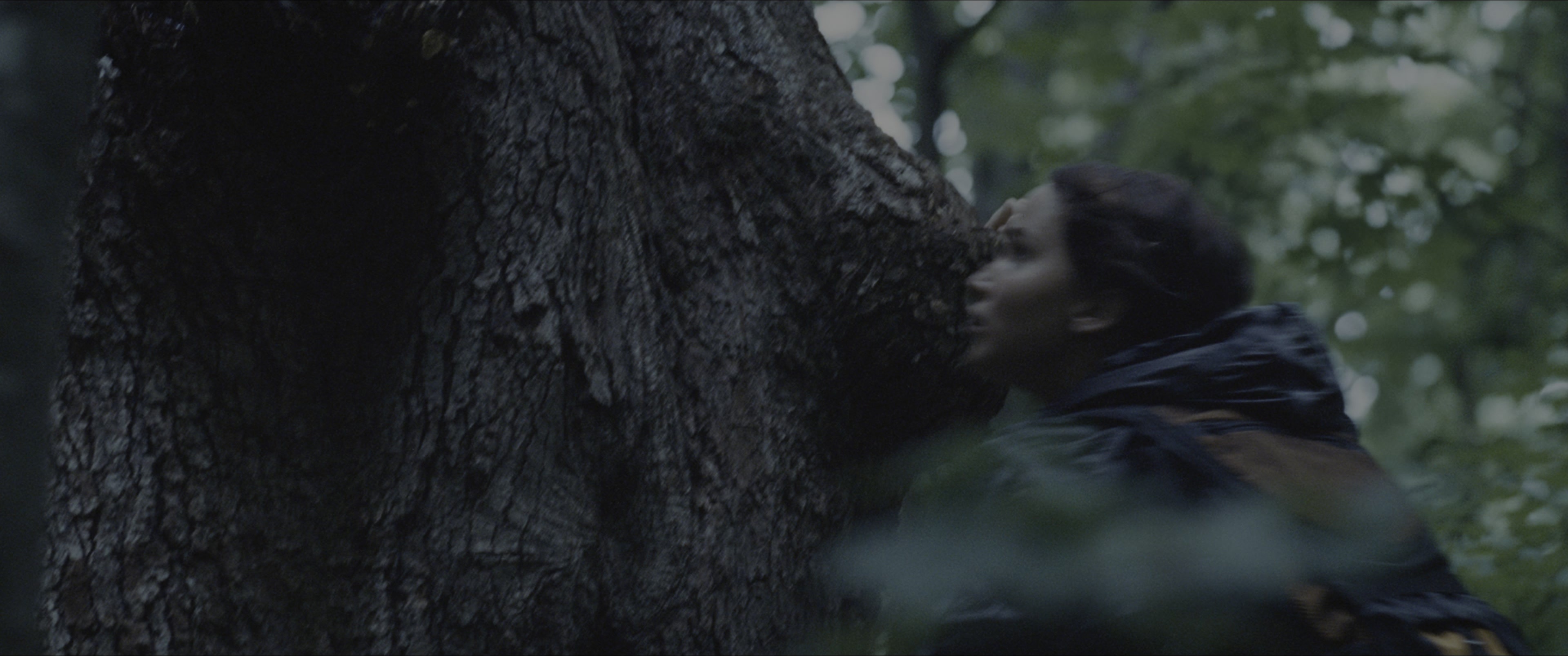 The Hunger Games (2012), wide, 2.39:1 — film still