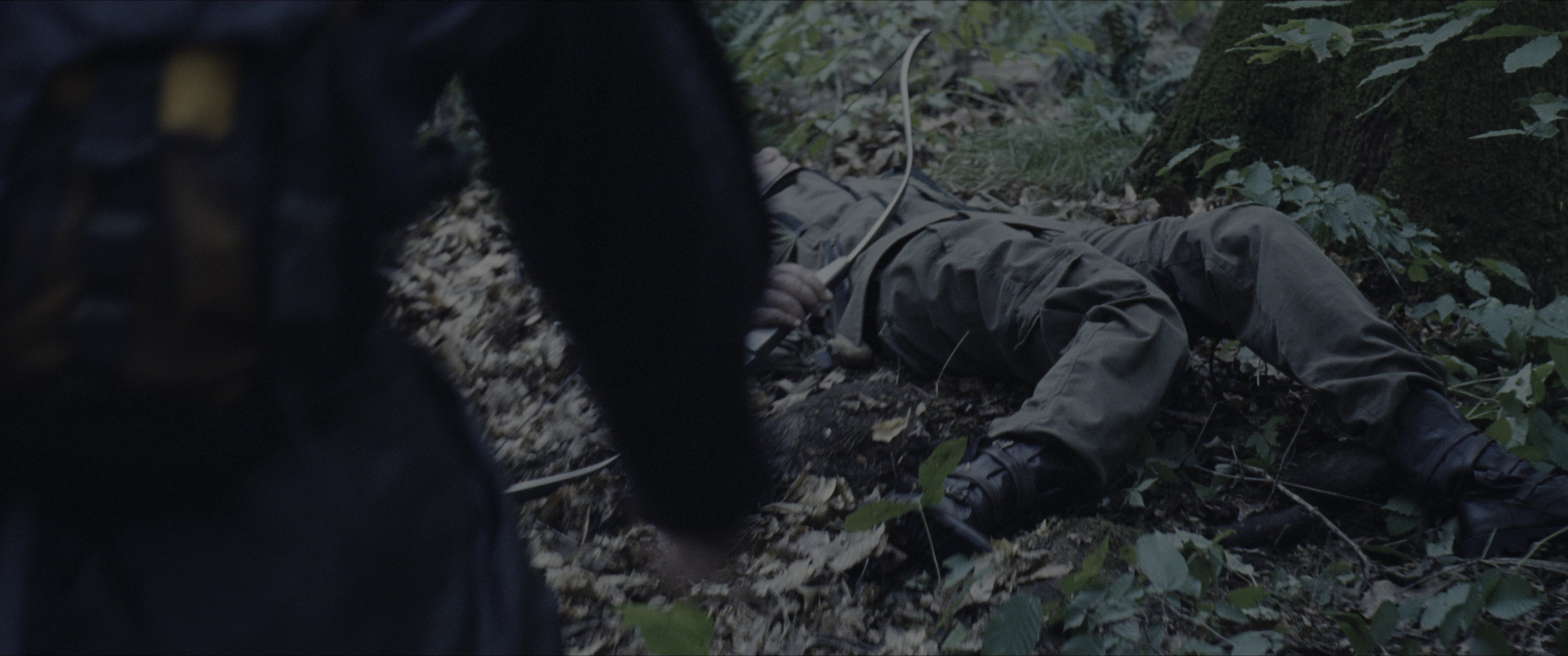The Hunger Games (2012), wide, 2.39:1 — film still