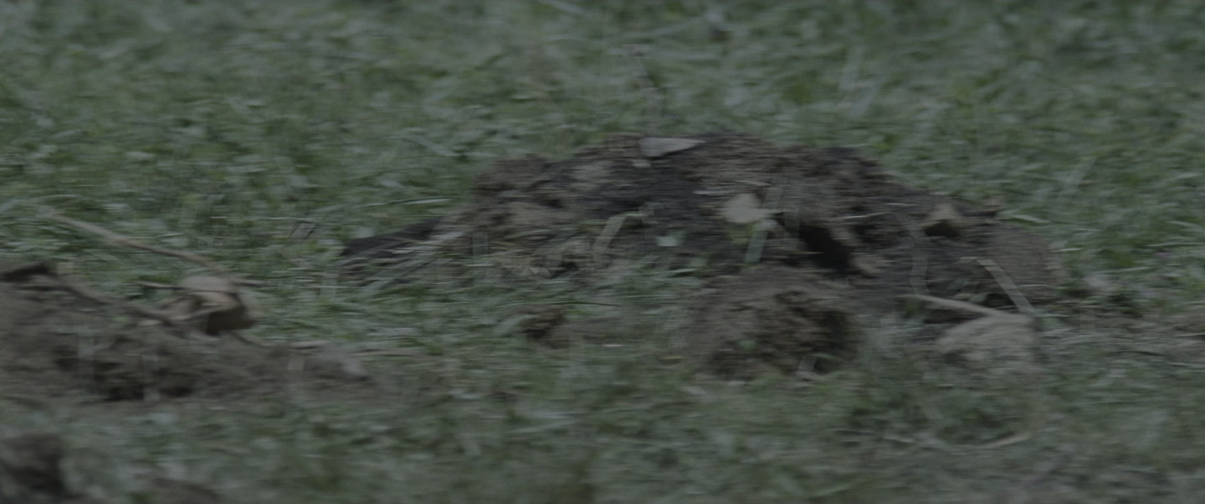 The Hunger Games (2012), wide, 2.39:1 — film still