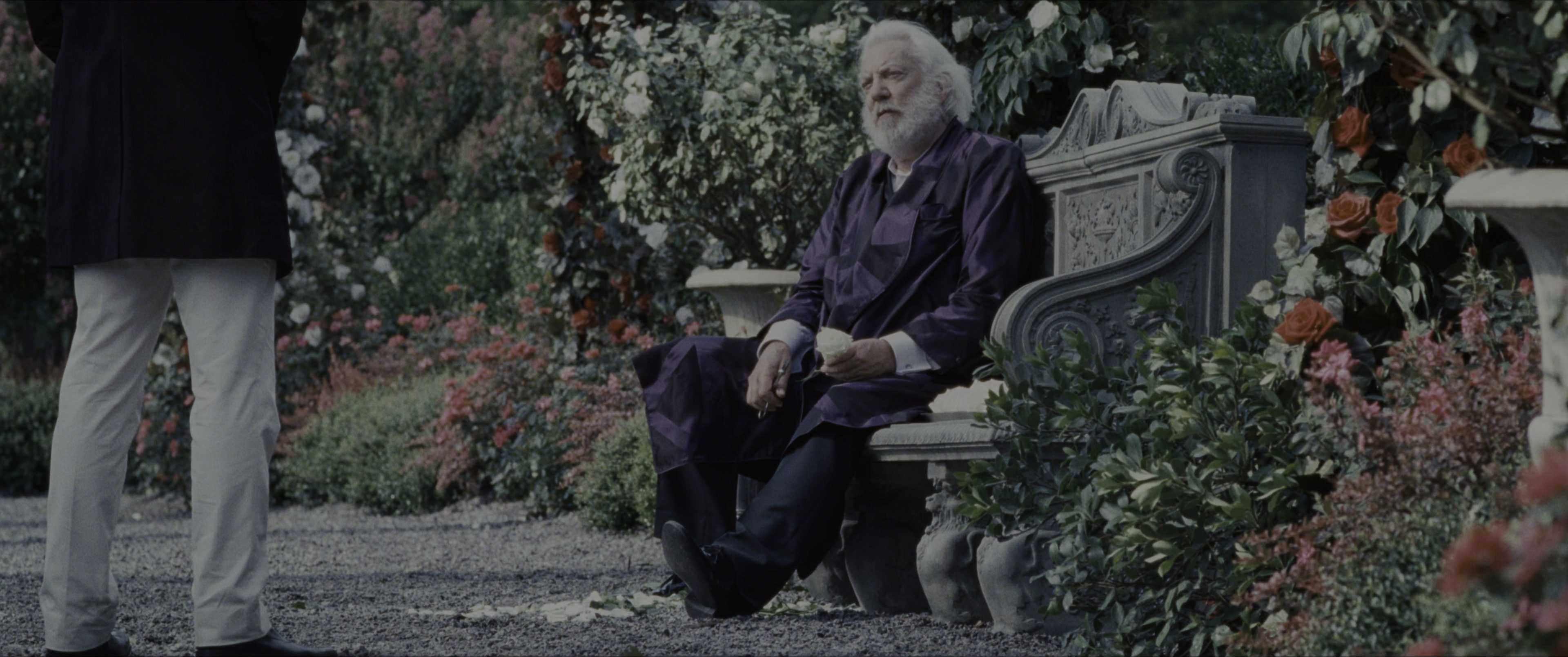 The Hunger Games (2012), wide, 2.39:1 — film still