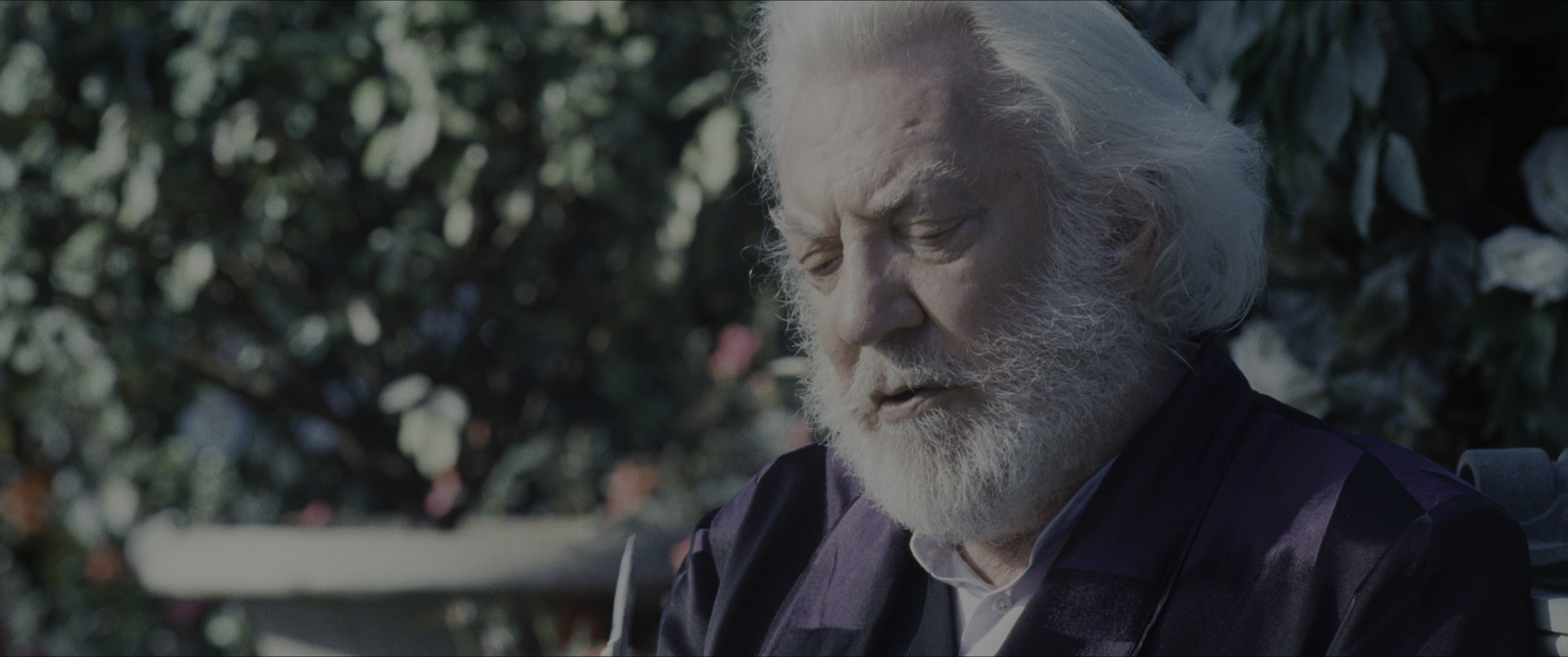 The Hunger Games (2012), wide, 2.39:1 — film still