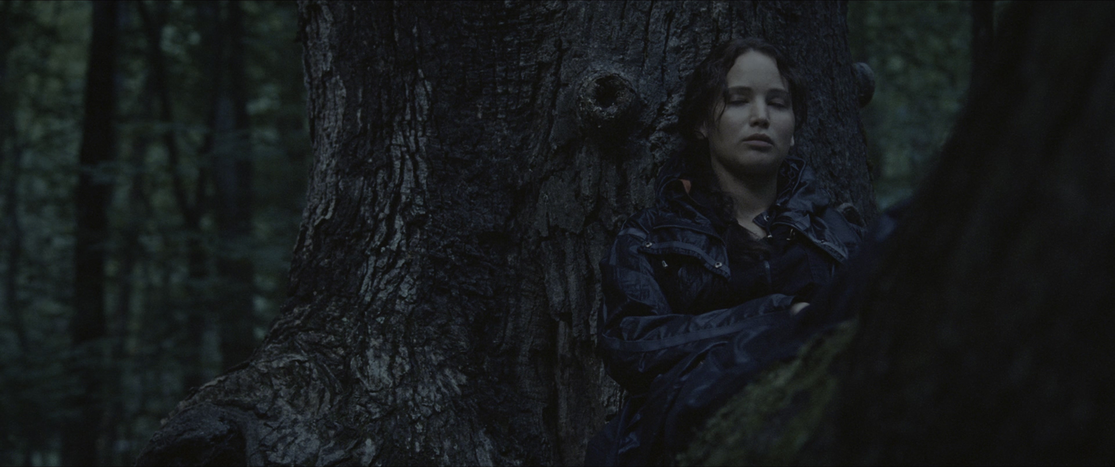 The Hunger Games (2012), wide, 2.39:1 — film still