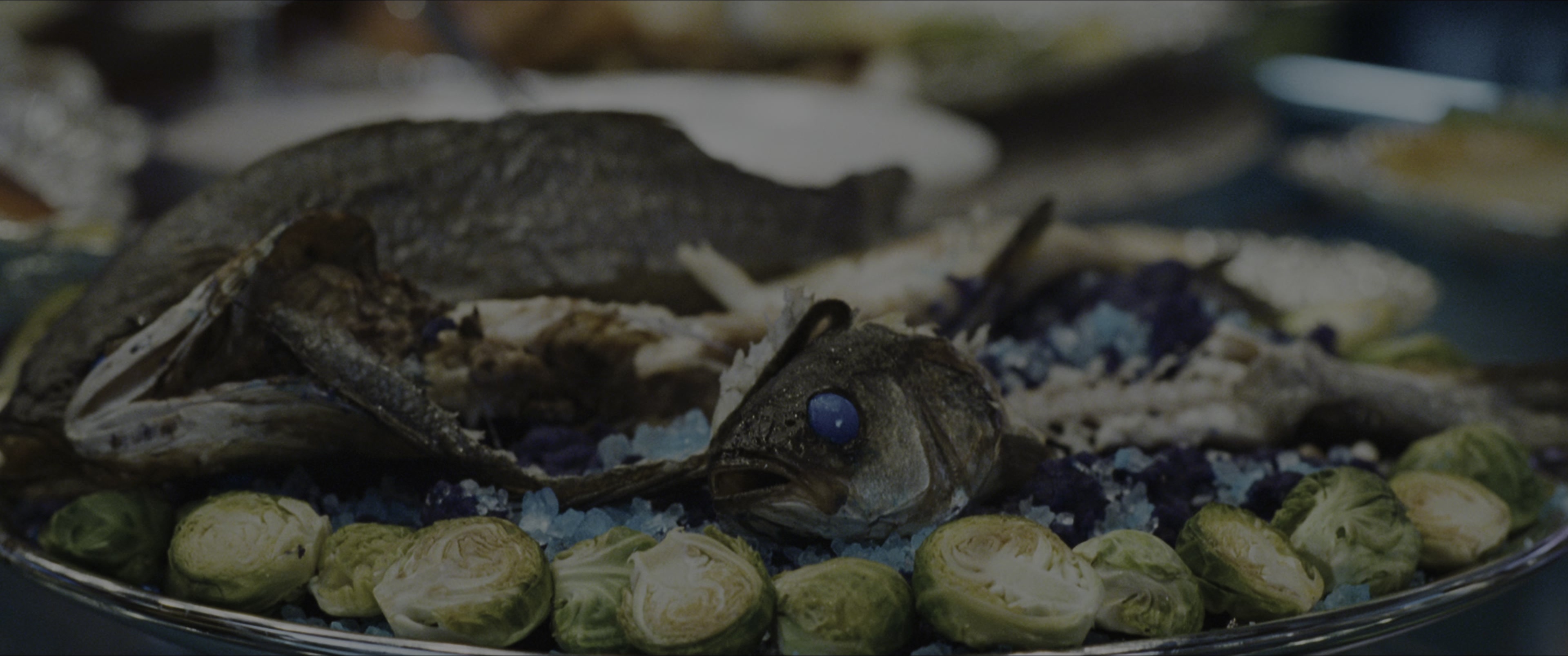 The Hunger Games (2012), wide, 2.39:1 — film still