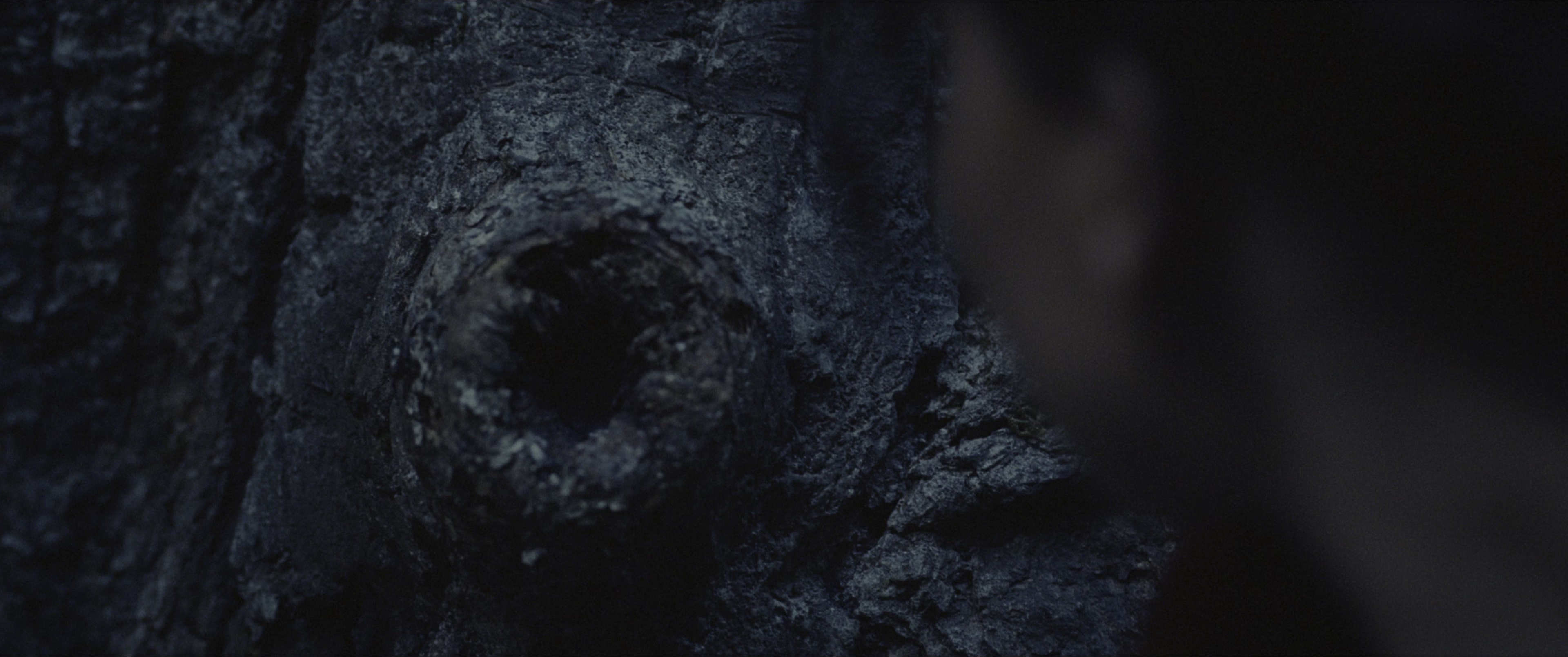 The Hunger Games (2012), wide, 2.39:1 — film still