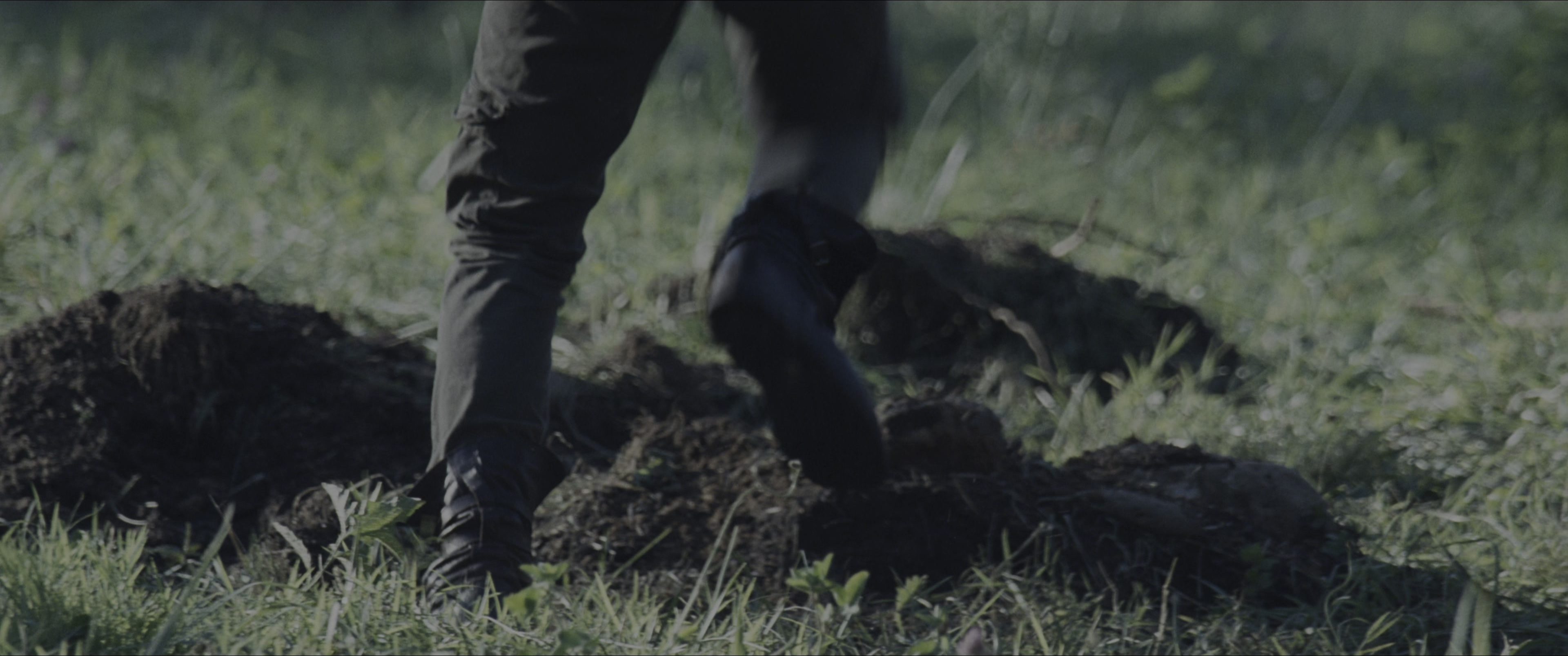 The Hunger Games (2012), wide, 2.39:1 — film still