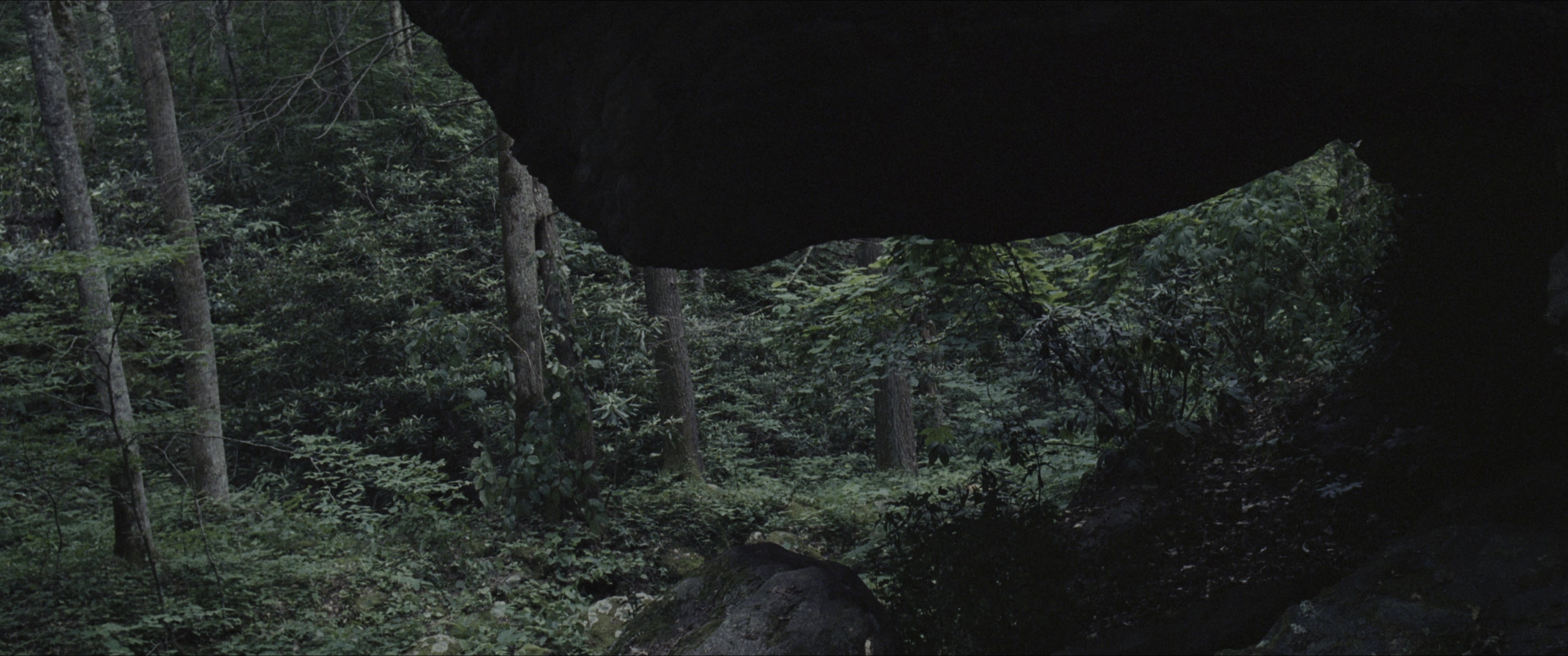 The Hunger Games (2012), wide, 2.39:1 — film still