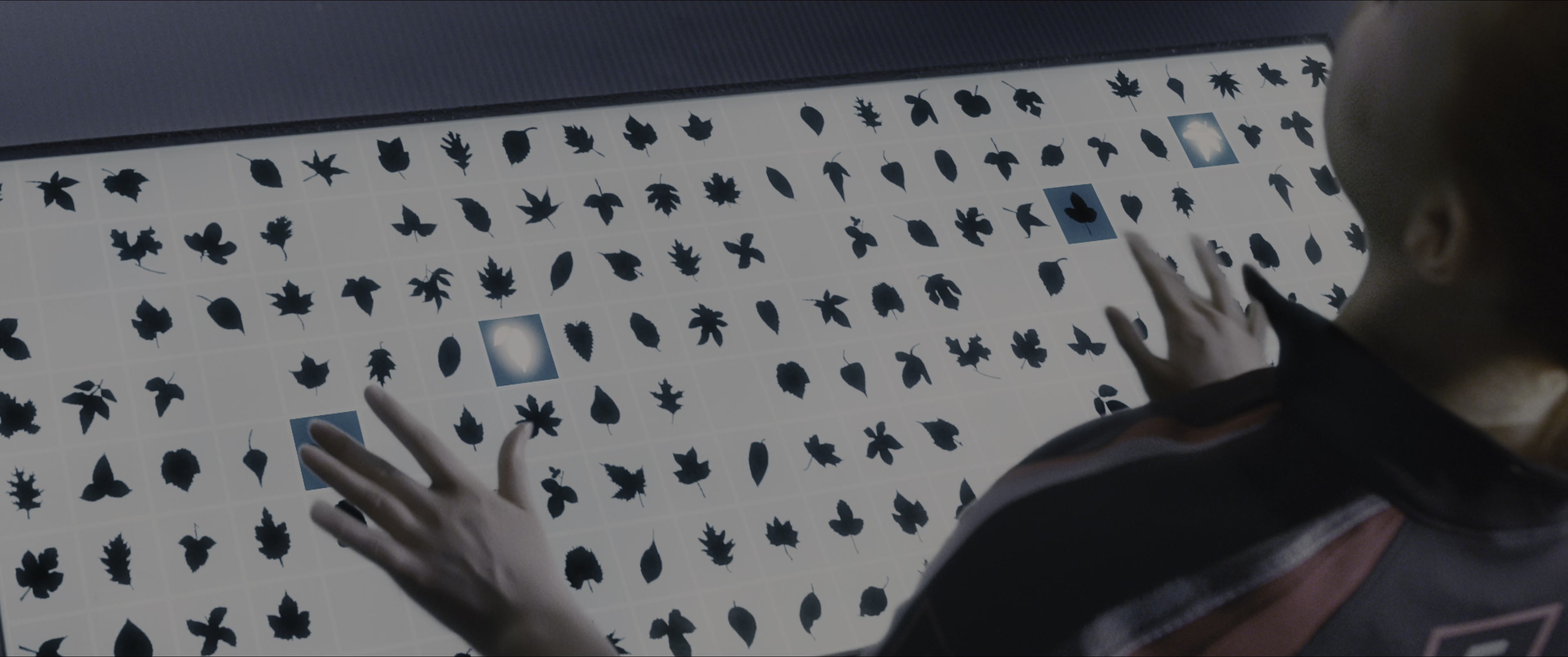 The Hunger Games (2012), wide, 2.39:1 — film still