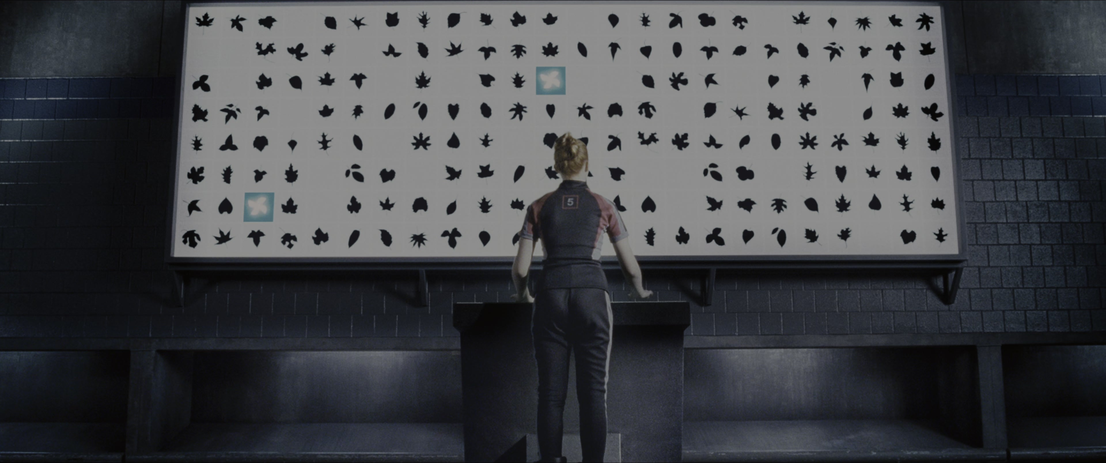 The Hunger Games (2012), wide, 2.39:1 — film still