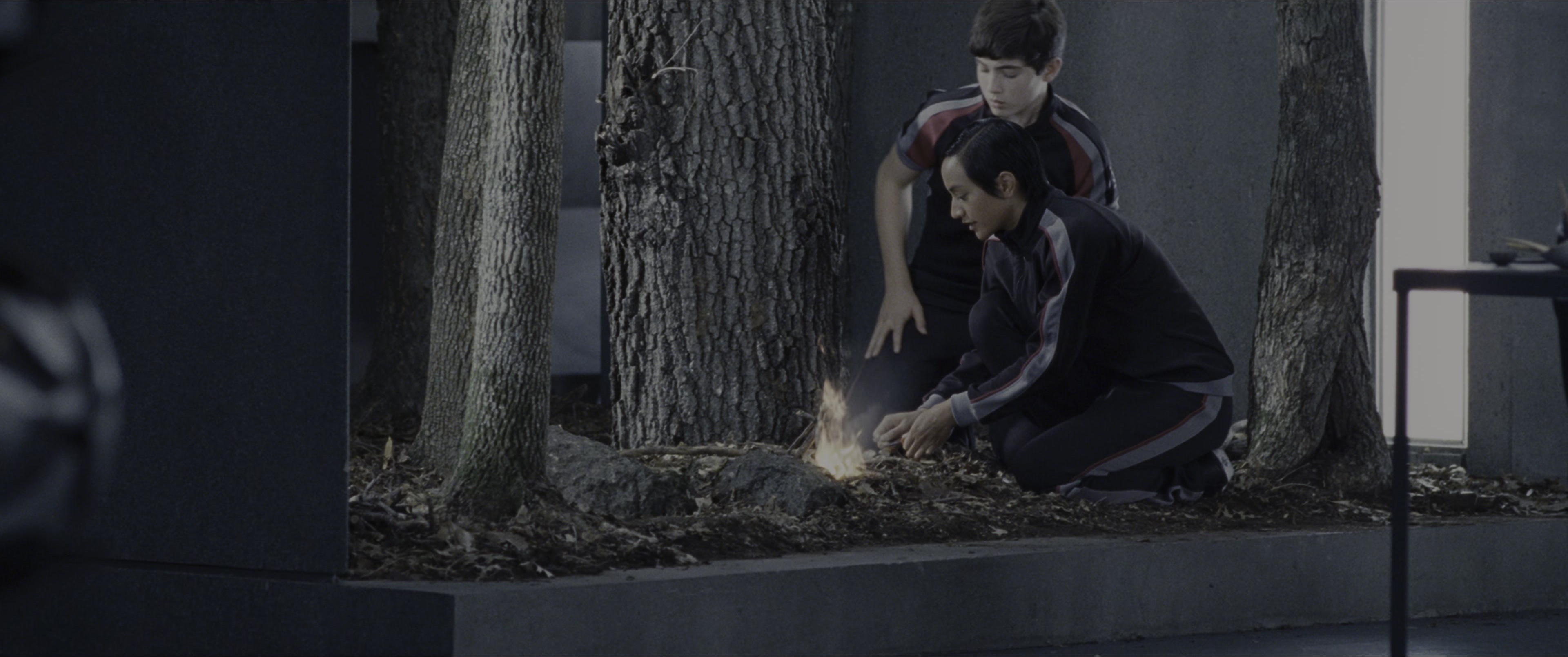 The Hunger Games (2012), wide, 2.39:1 — film still