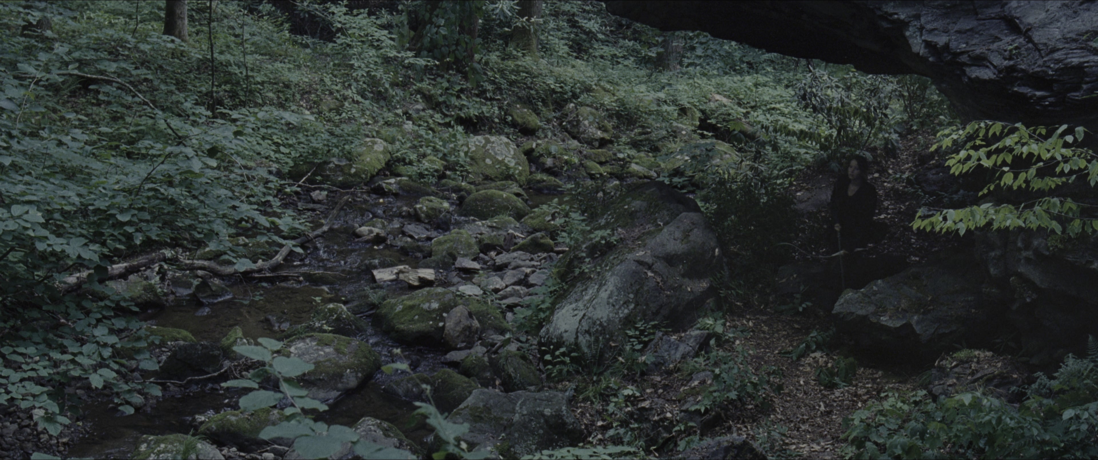 The Hunger Games (2012), wide, 2.39:1 — film still