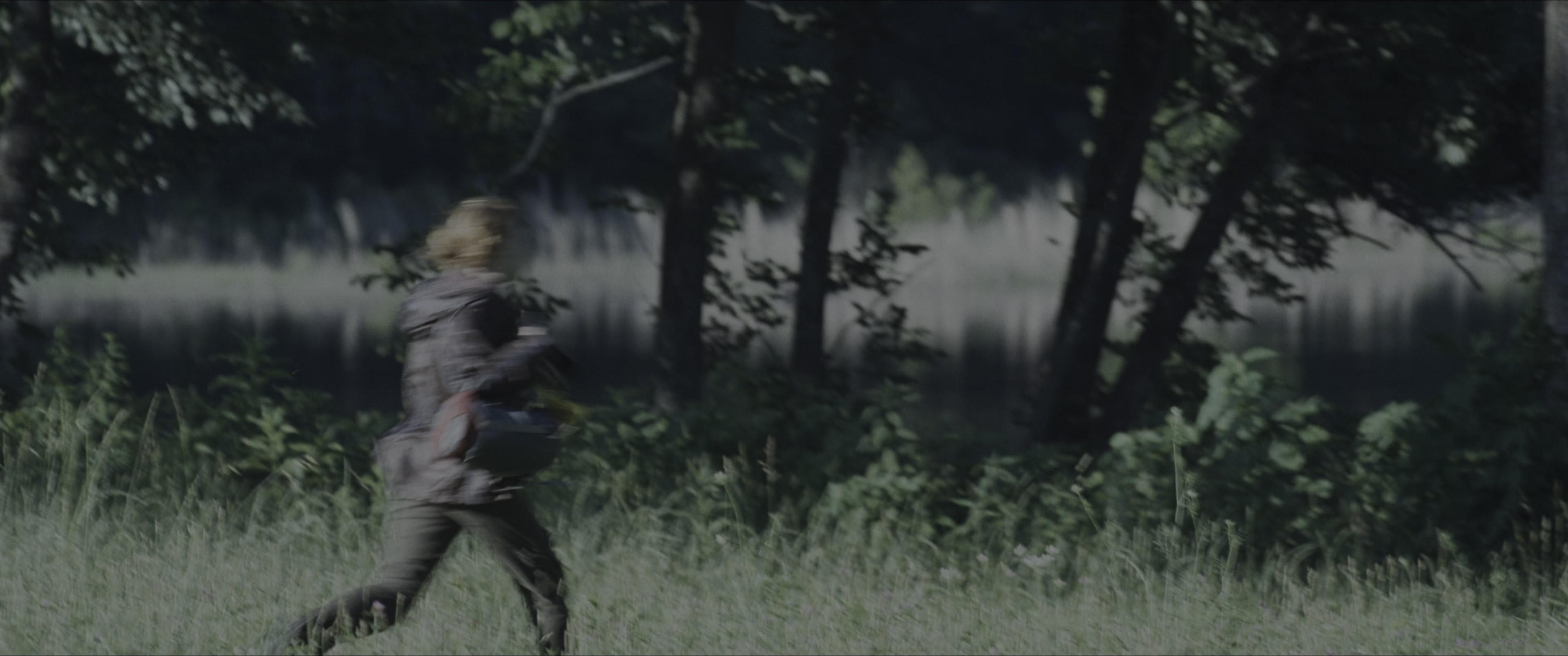 The Hunger Games (2012), wide, 2.39:1 — film still