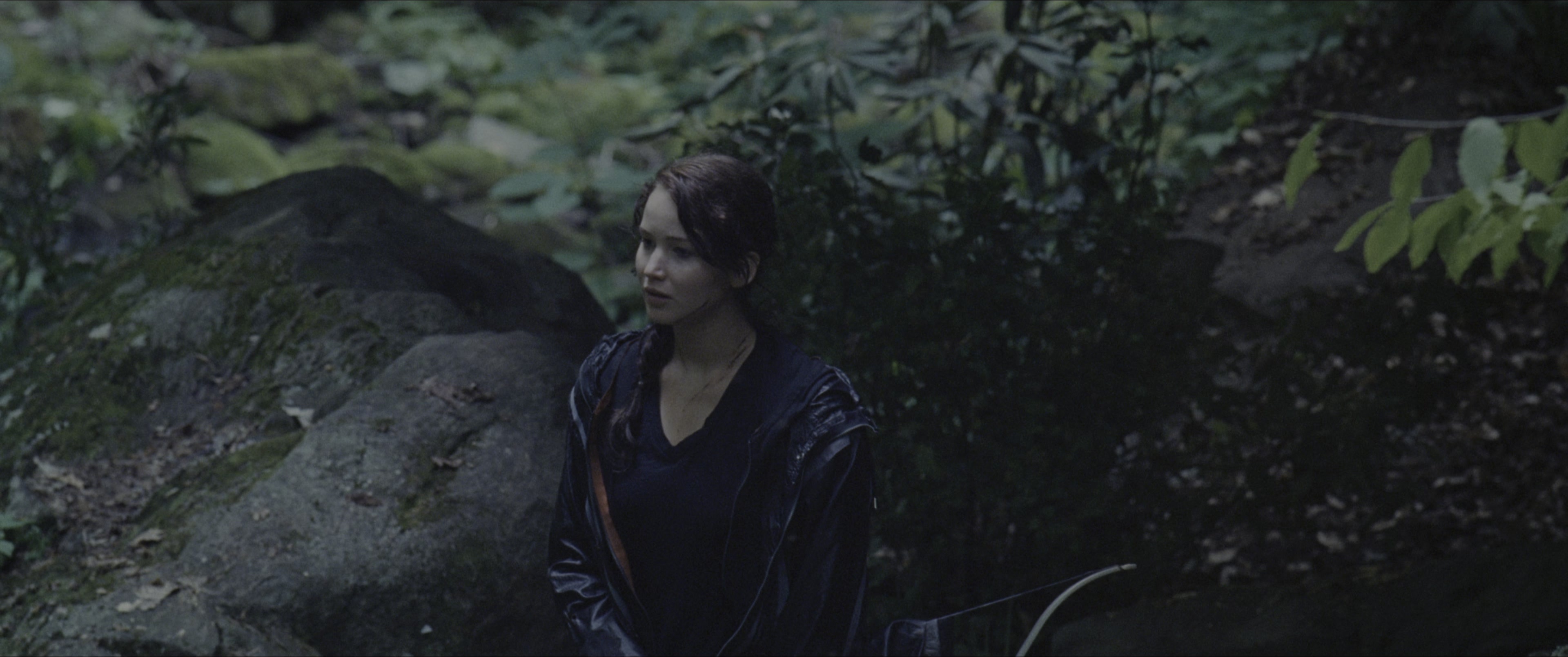 The Hunger Games (2012), wide, 2.39:1 — film still