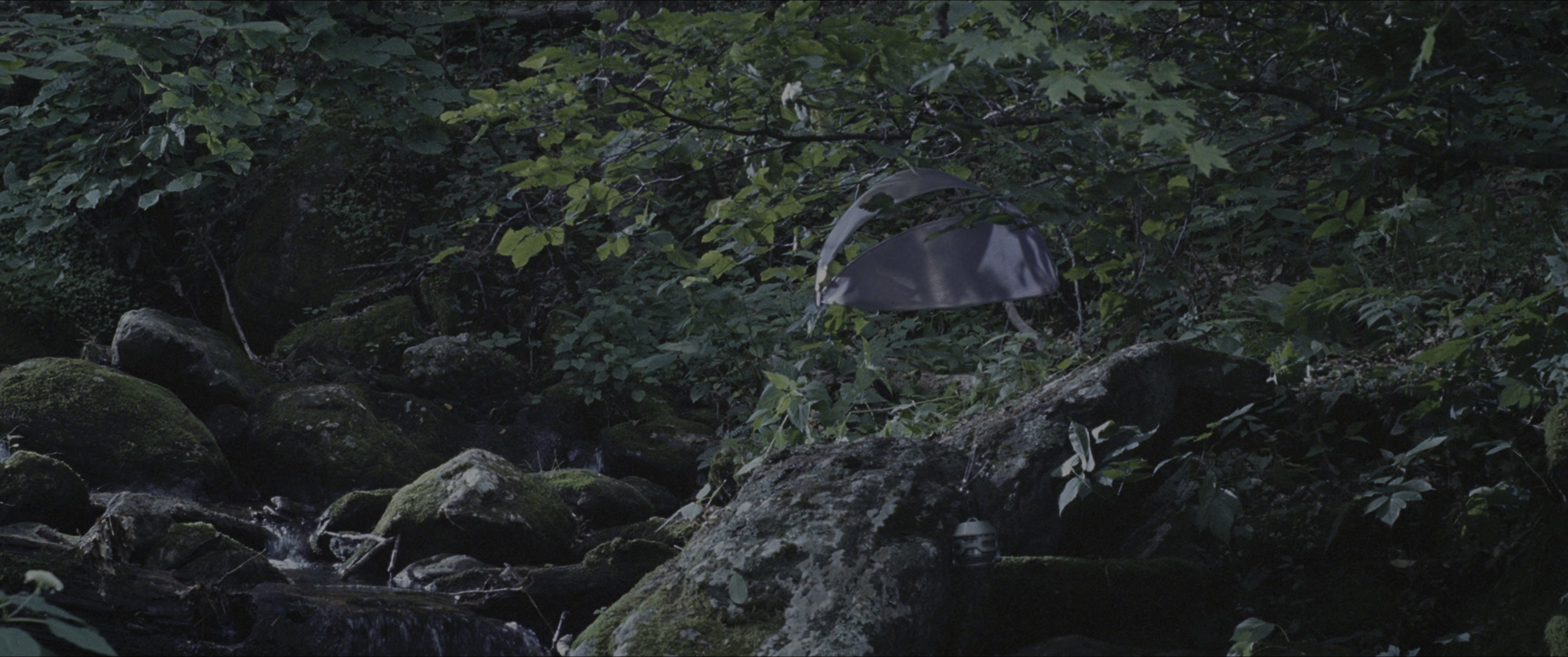 The Hunger Games (2012), wide, 2.39:1 — film still