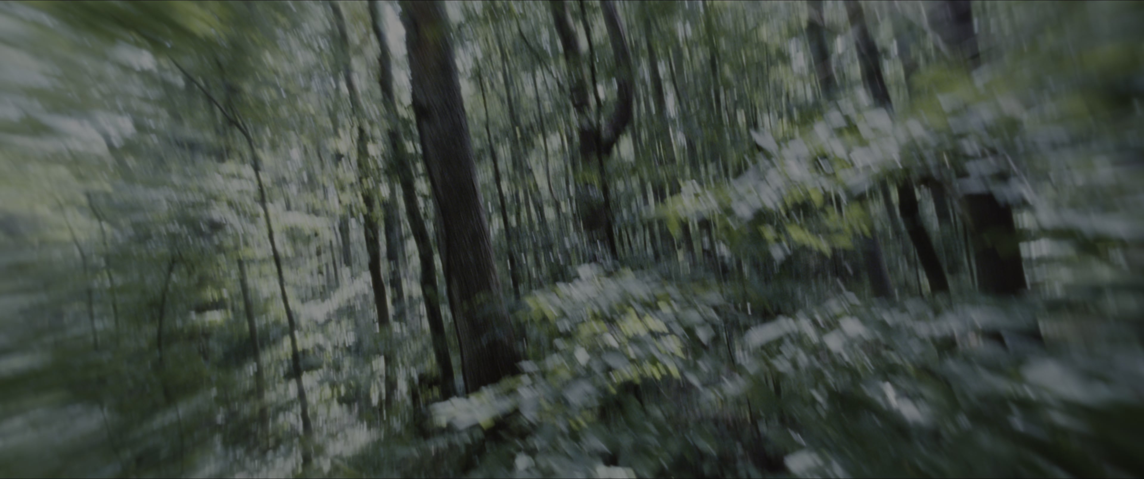 The Hunger Games (2012), wide, 2.39:1 — film still