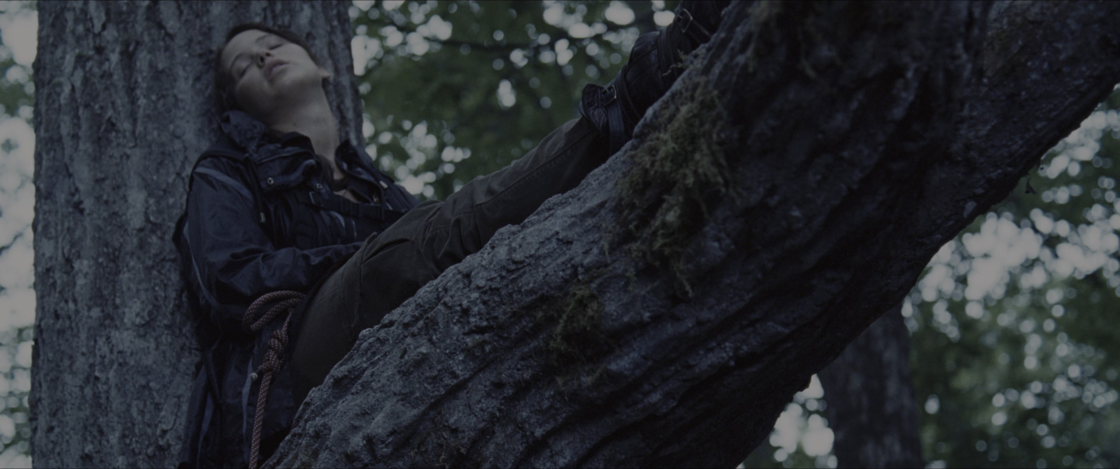 The Hunger Games (2012), wide, 2.39:1 — film still