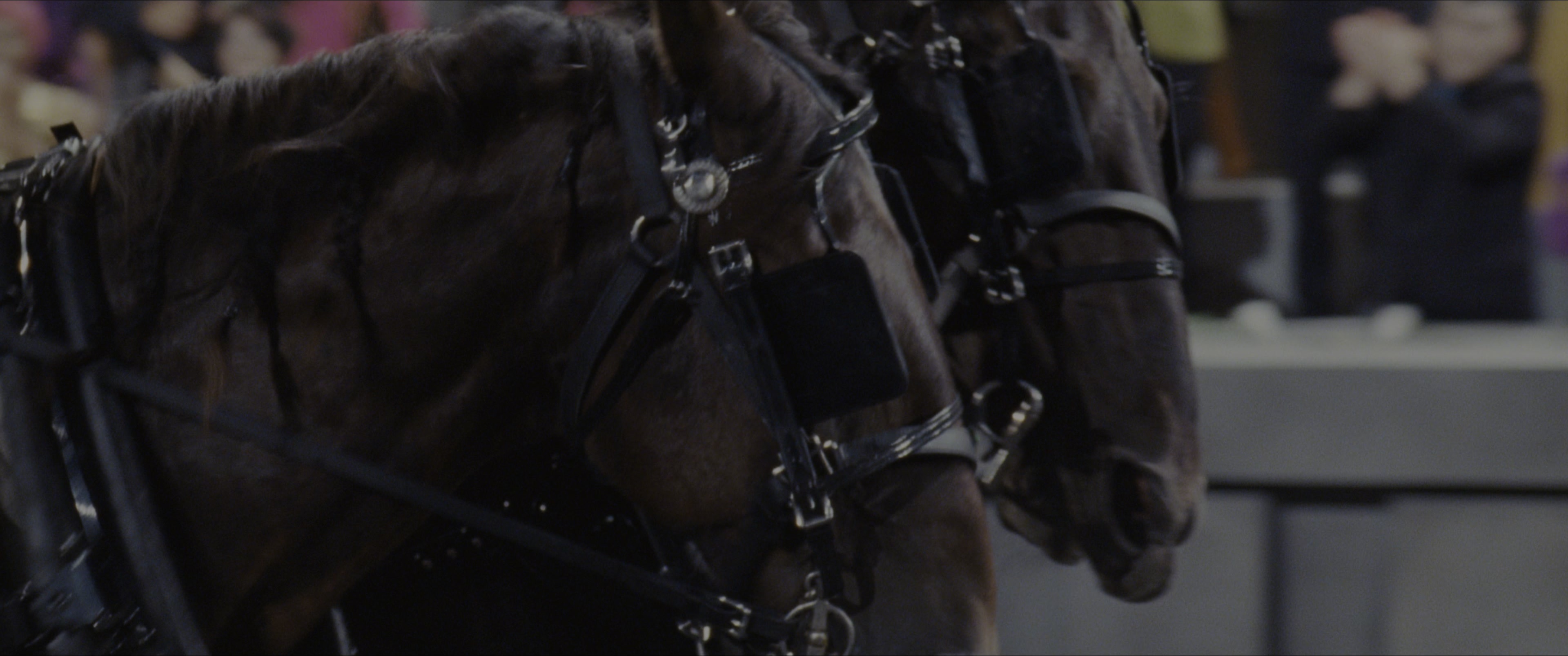 The Hunger Games (2012), wide, 2.39:1 — film still