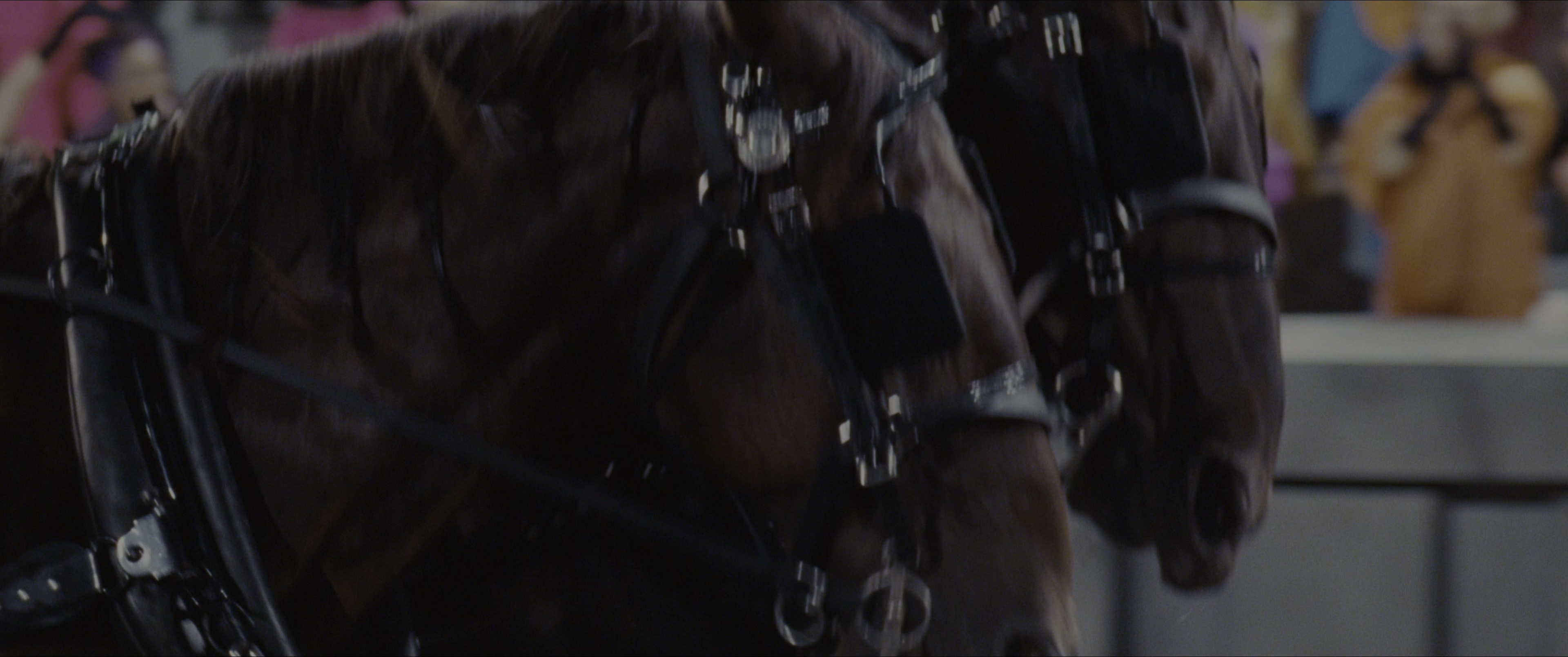 The Hunger Games (2012), wide, 2.39:1 — film still