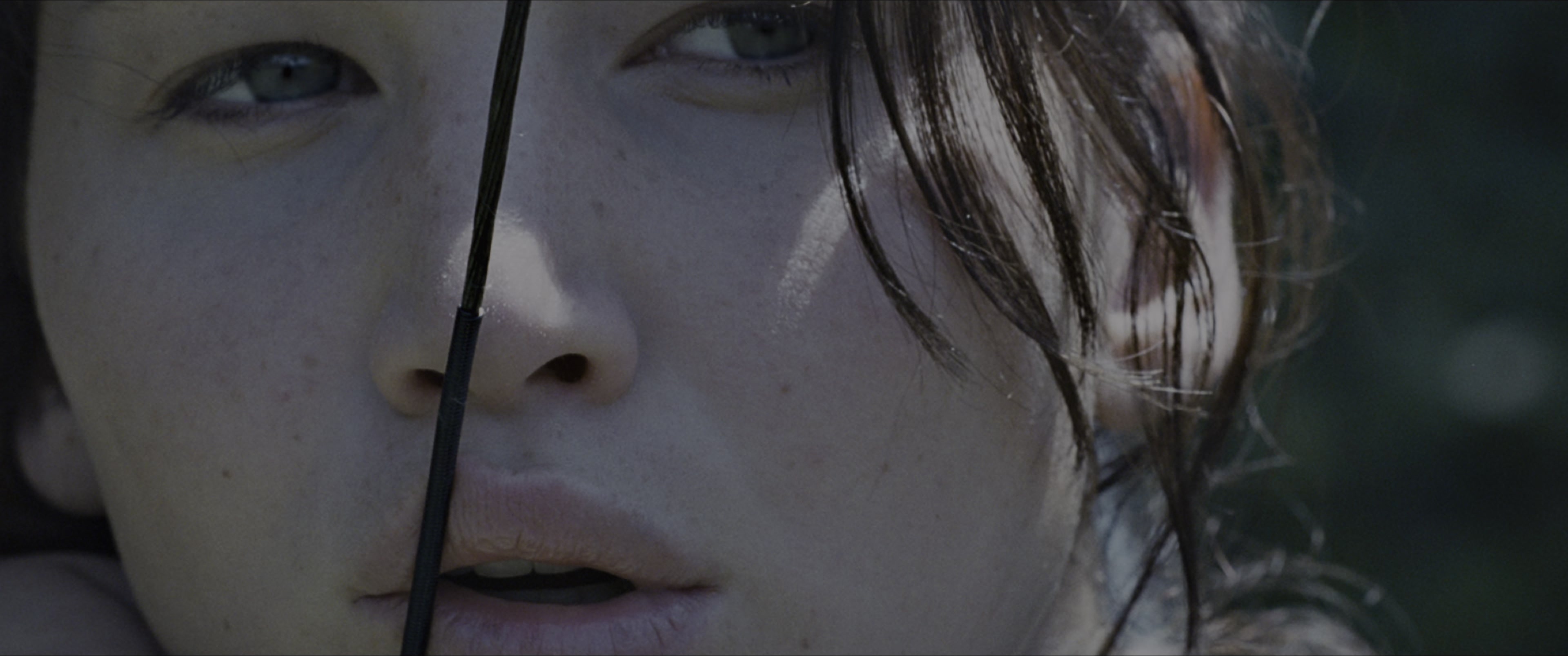 The Hunger Games (2012), wide, 2.39:1 — film still