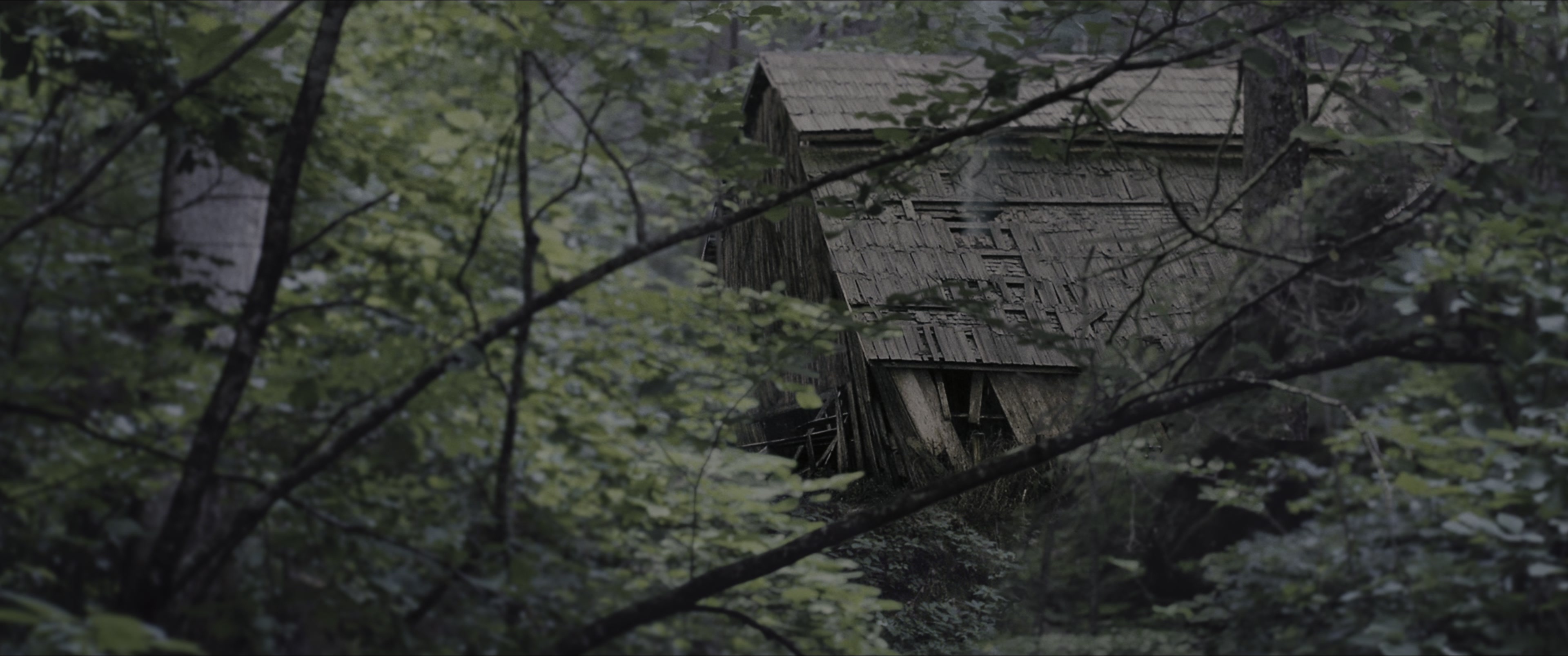 The Hunger Games (2012), wide, 2.39:1 — film still