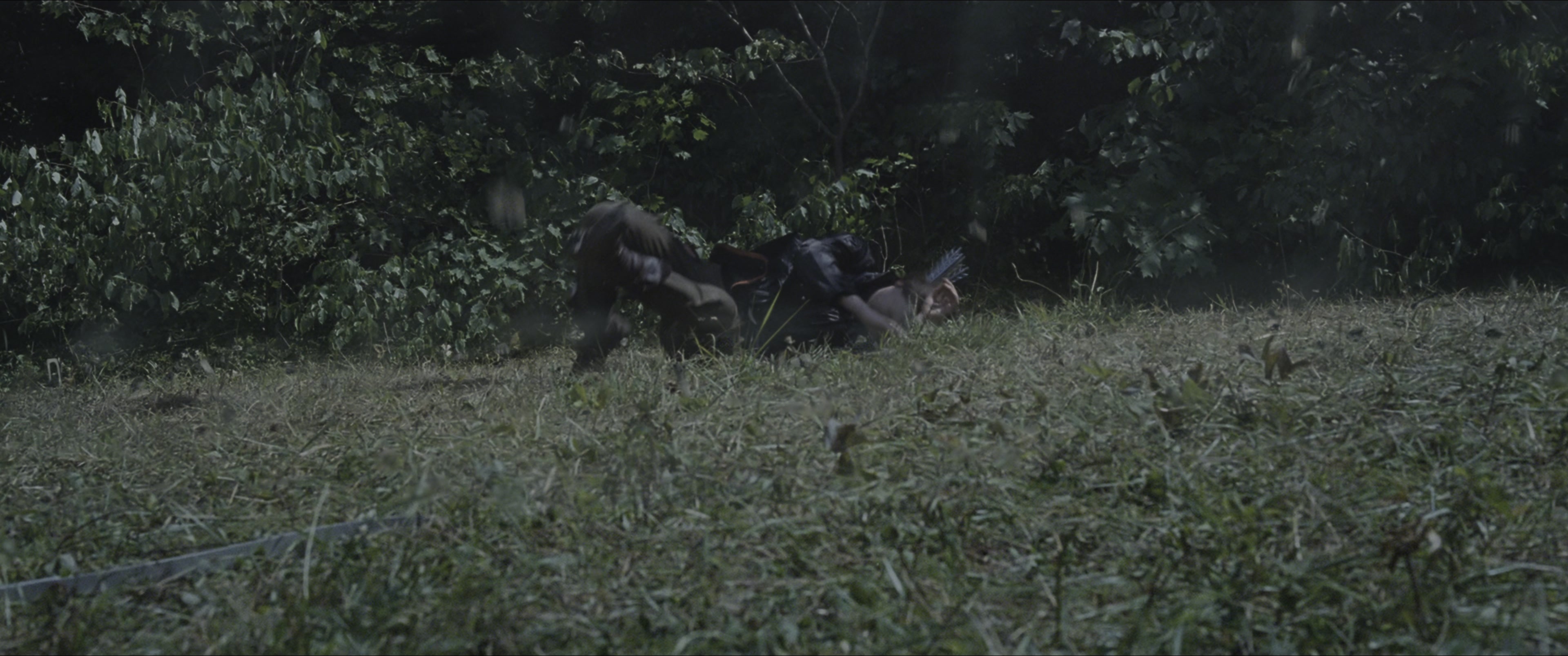 The Hunger Games (2012), wide, 2.39:1 — film still