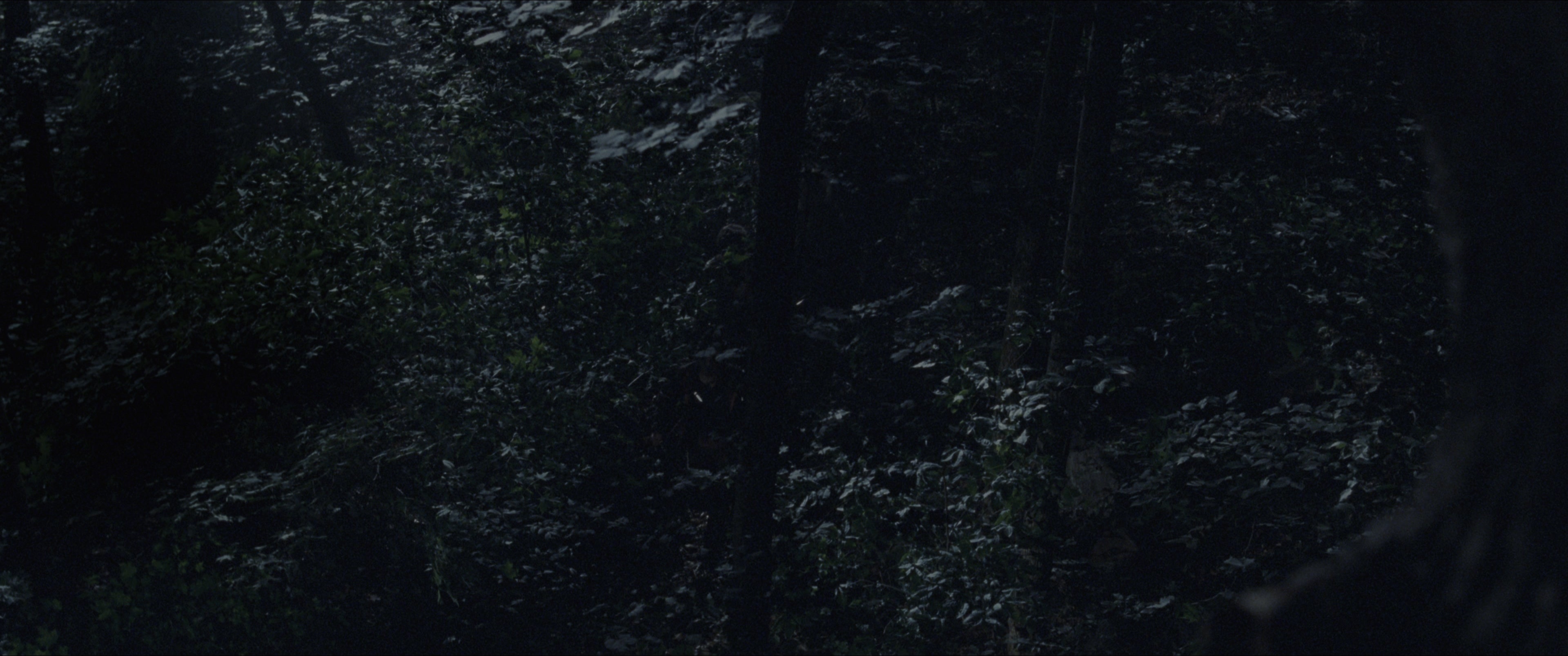 The Hunger Games (2012), wide, 2.39:1 — film still