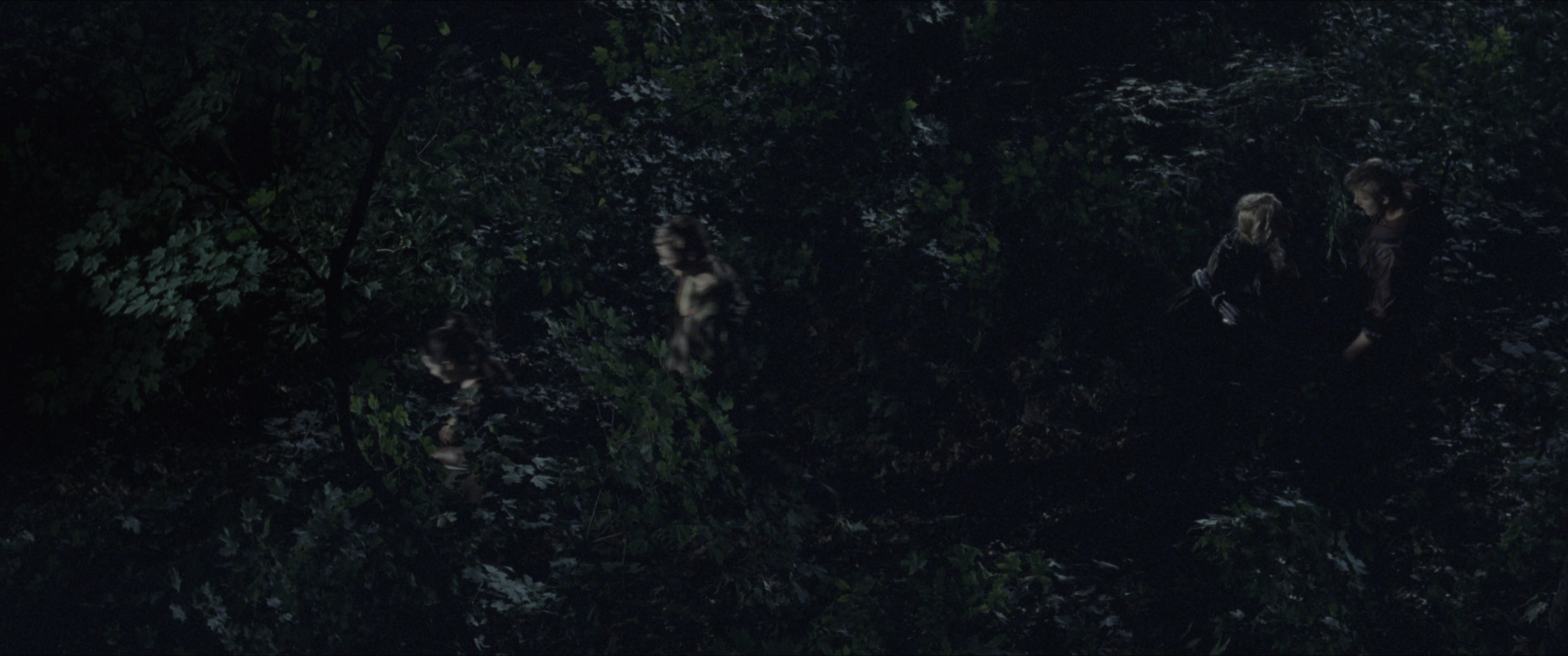 The Hunger Games (2012), wide, 2.39:1 — film still