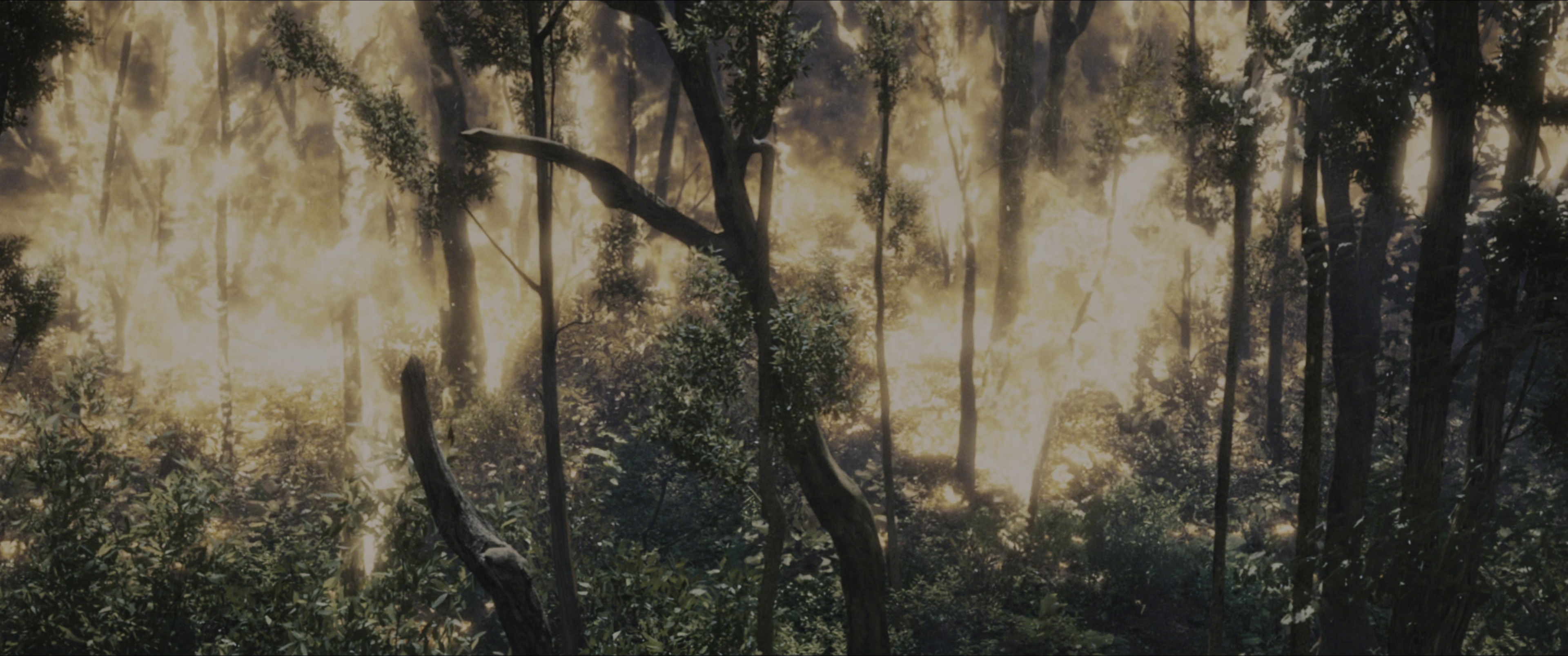 The Hunger Games (2012), wide, 2.39:1 — film still